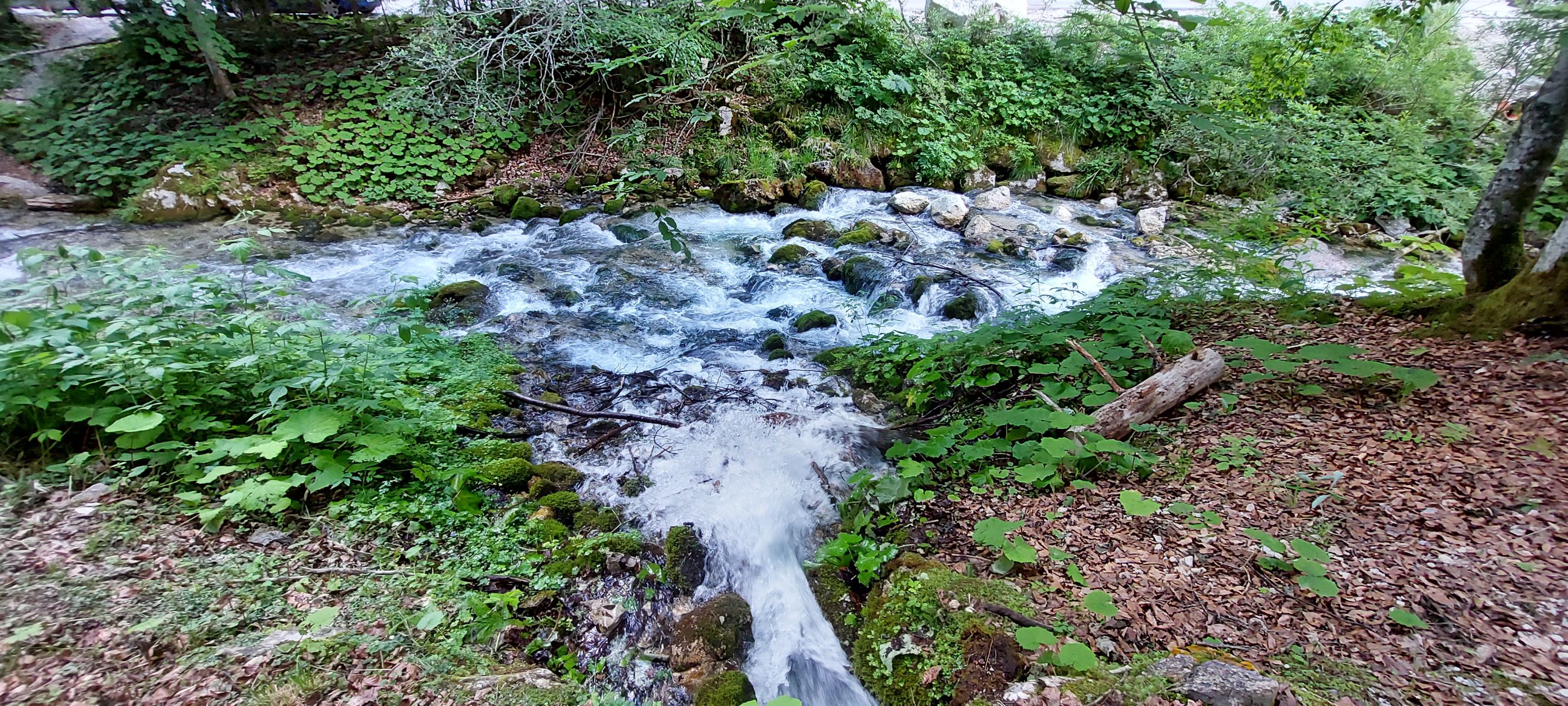 20220625_162407.jpg