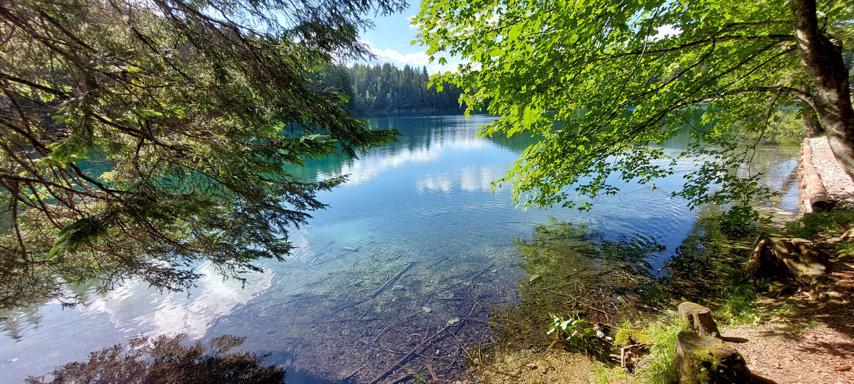 20220625_173449.jpg