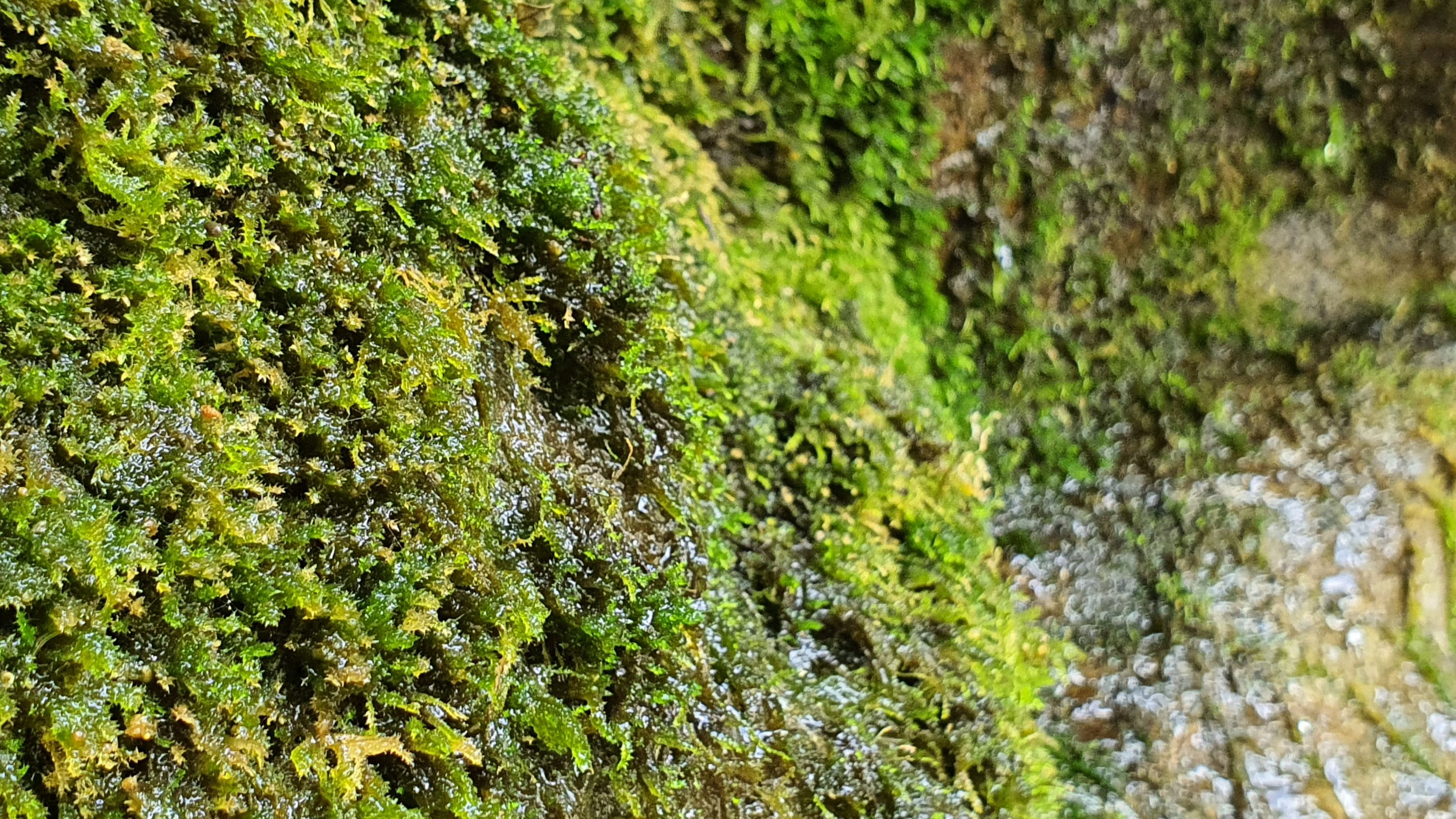 20230618_124704.jpg