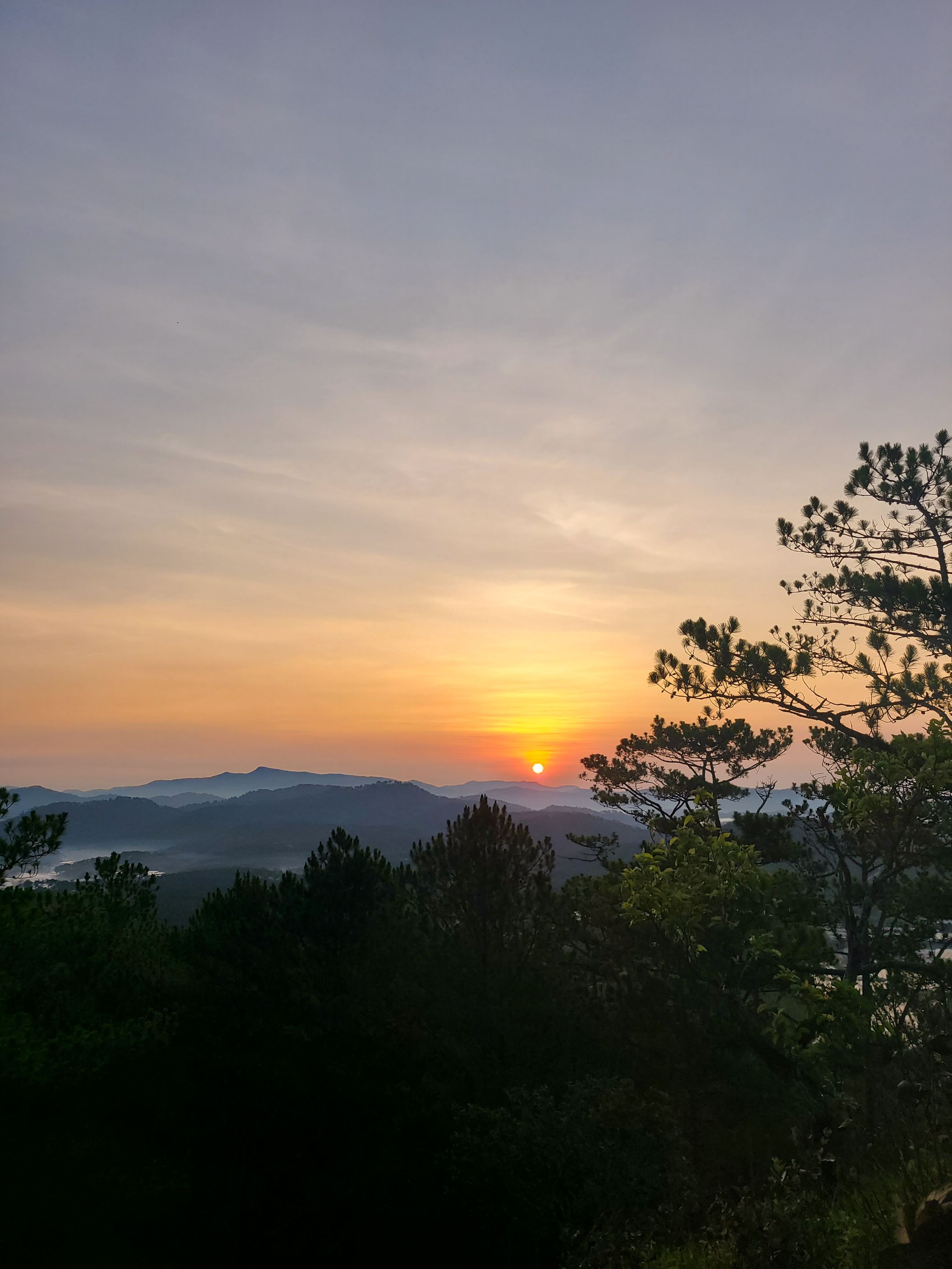20230425_053723.jpg