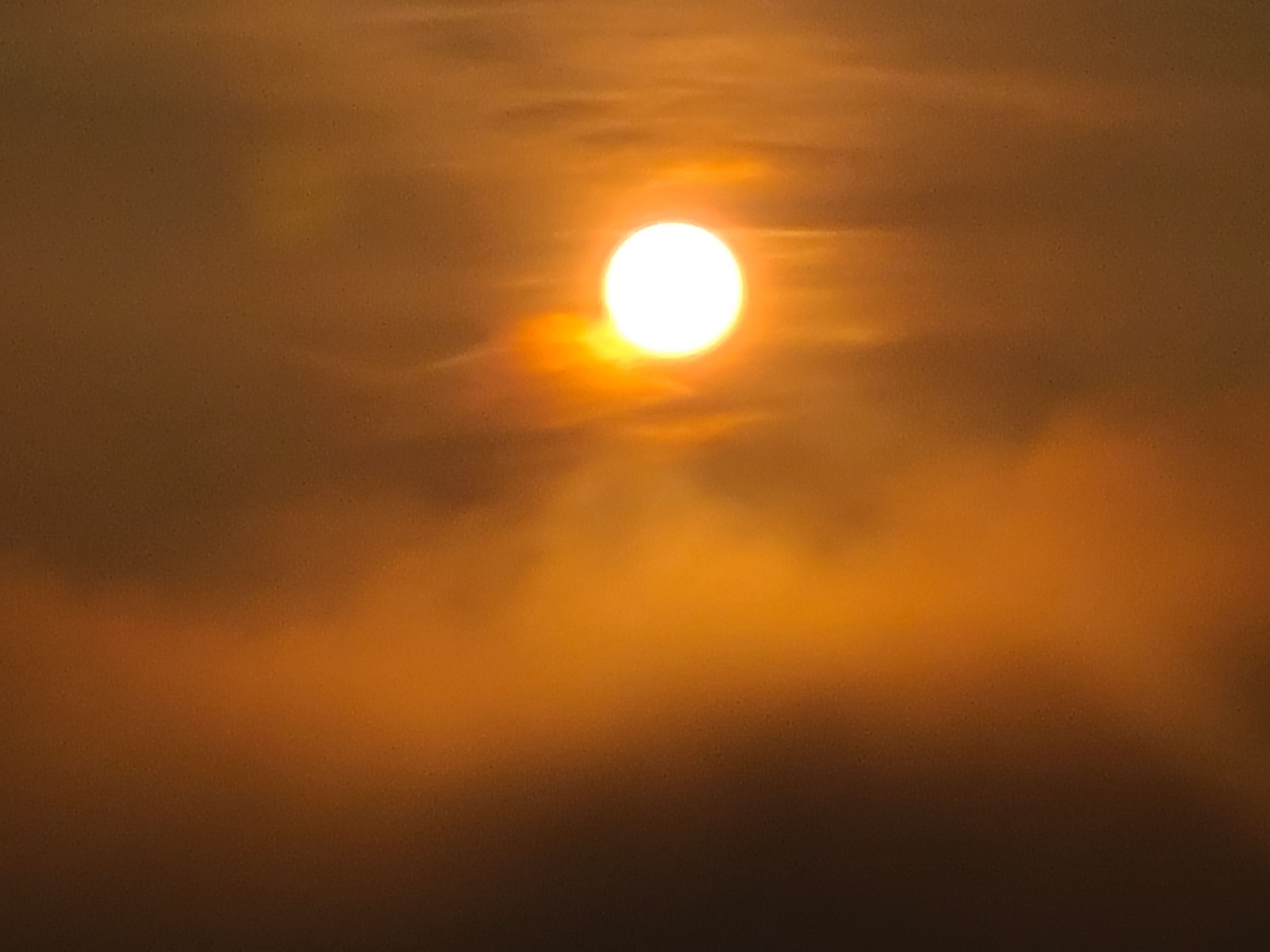 20230421_055245.jpg