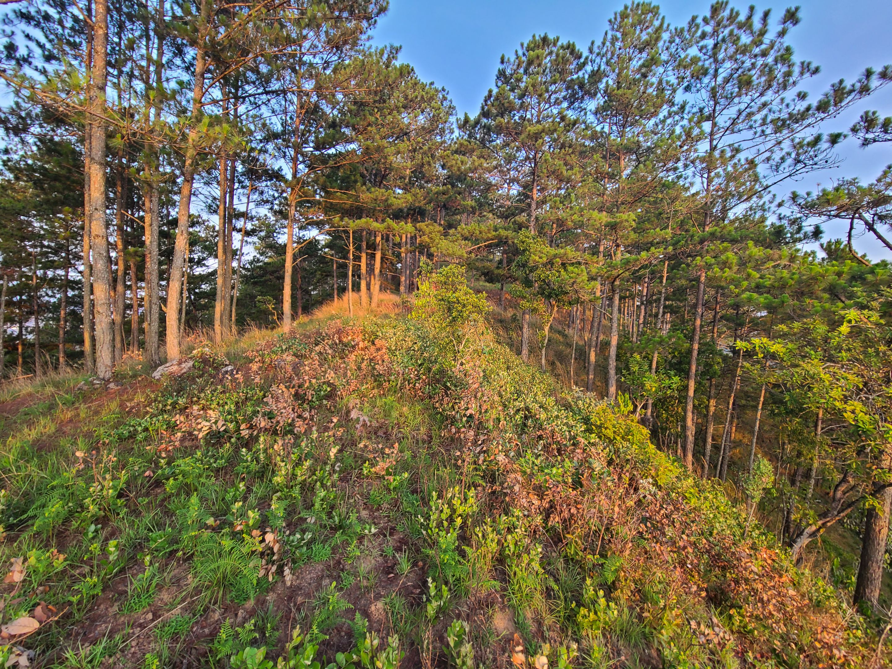 20230425_054929.jpg