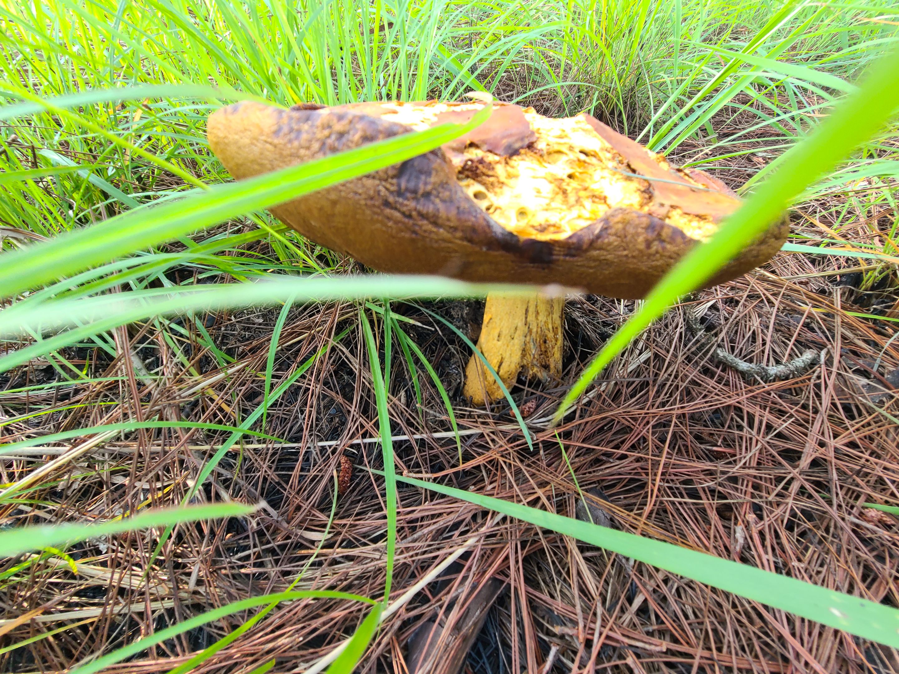 20230425_070157.jpg