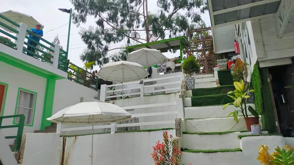 received_4947692958648255.jpeg