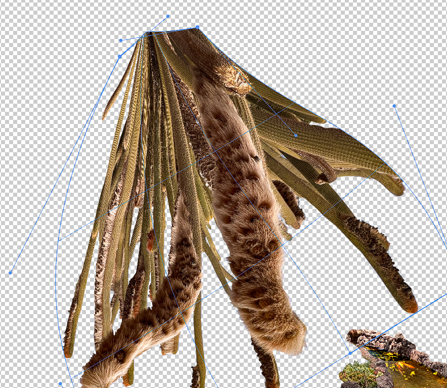 bsss5.png