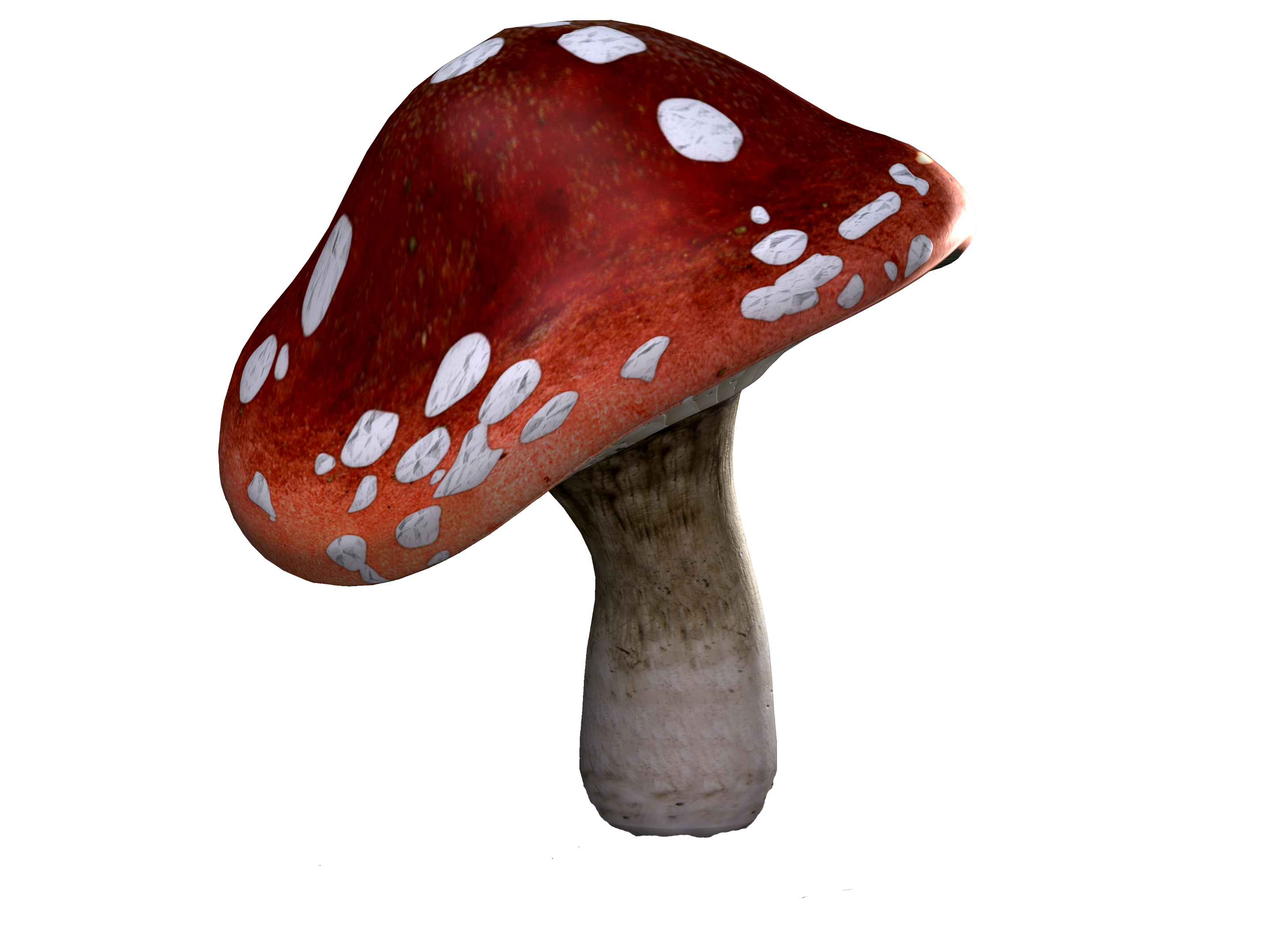 toadstool-1722296.png
