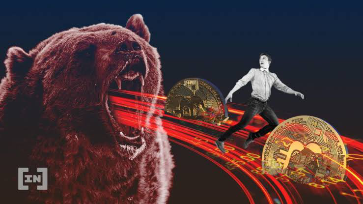 @creativehive/what-is-your-perception-about-the-bear-market