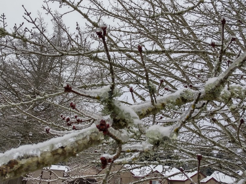 IMG_20210213_095521703_HDR.jpg