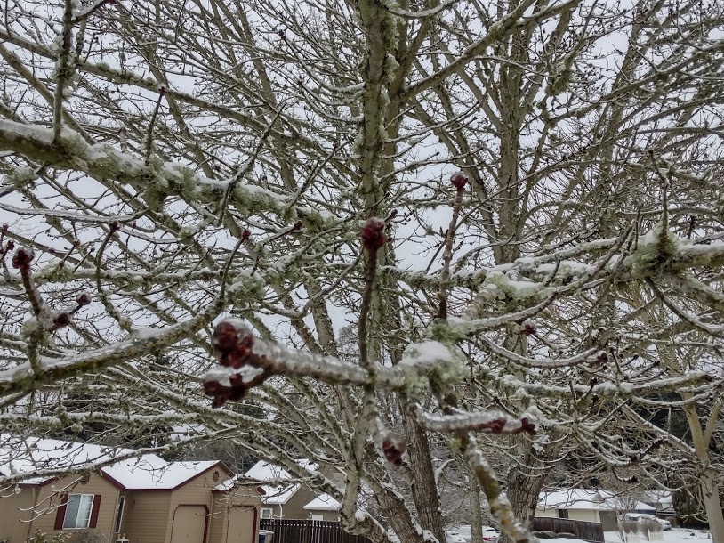 IMG_20210213_095525360_HDR.jpg