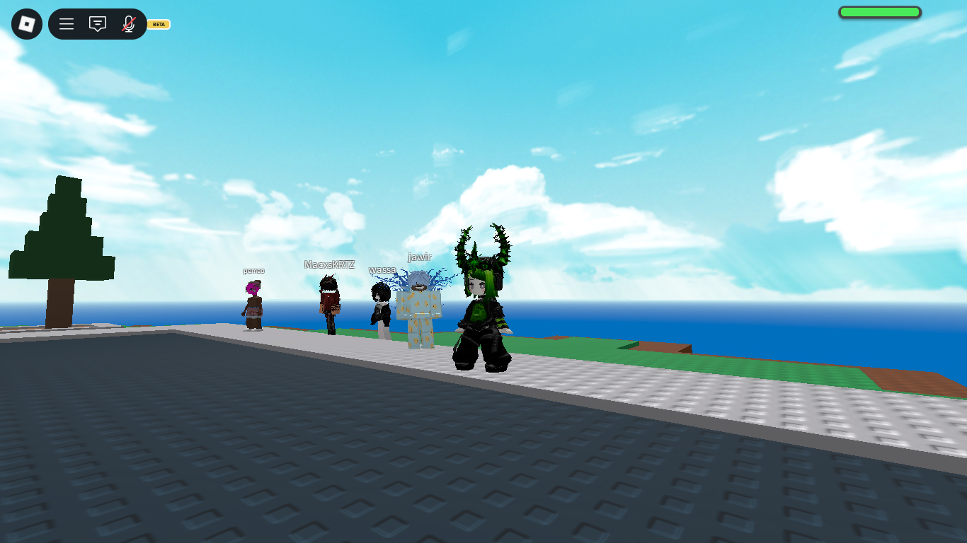 RobloxScreenShot20250807_140807975.png