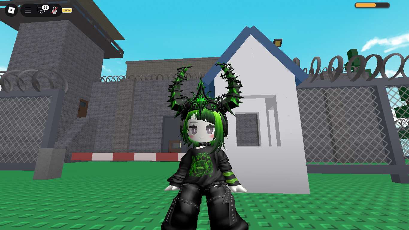 RobloxScreenShot20250807_141336979.png