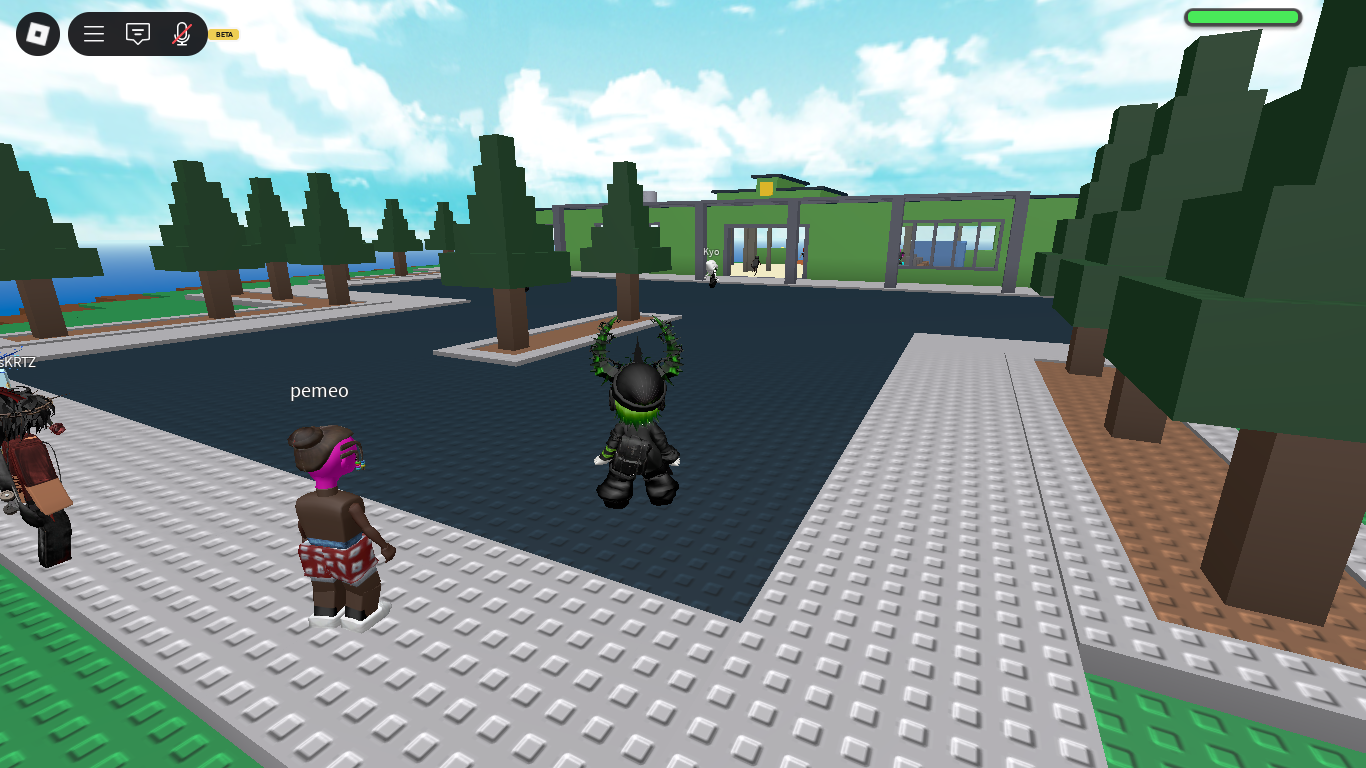 RobloxScreenShot20250807_140757209.png