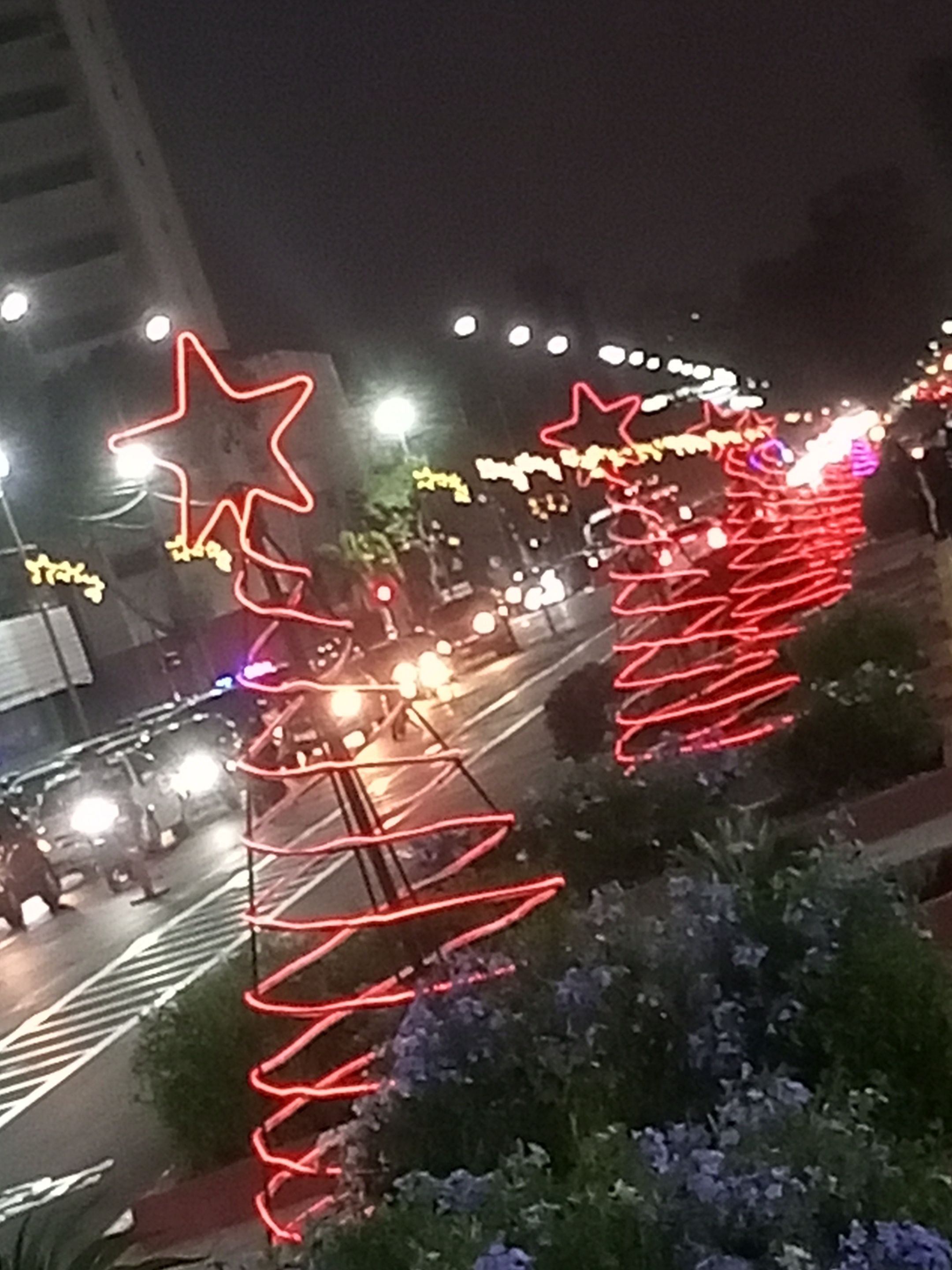 IMG_20221216_184117_797.jpg