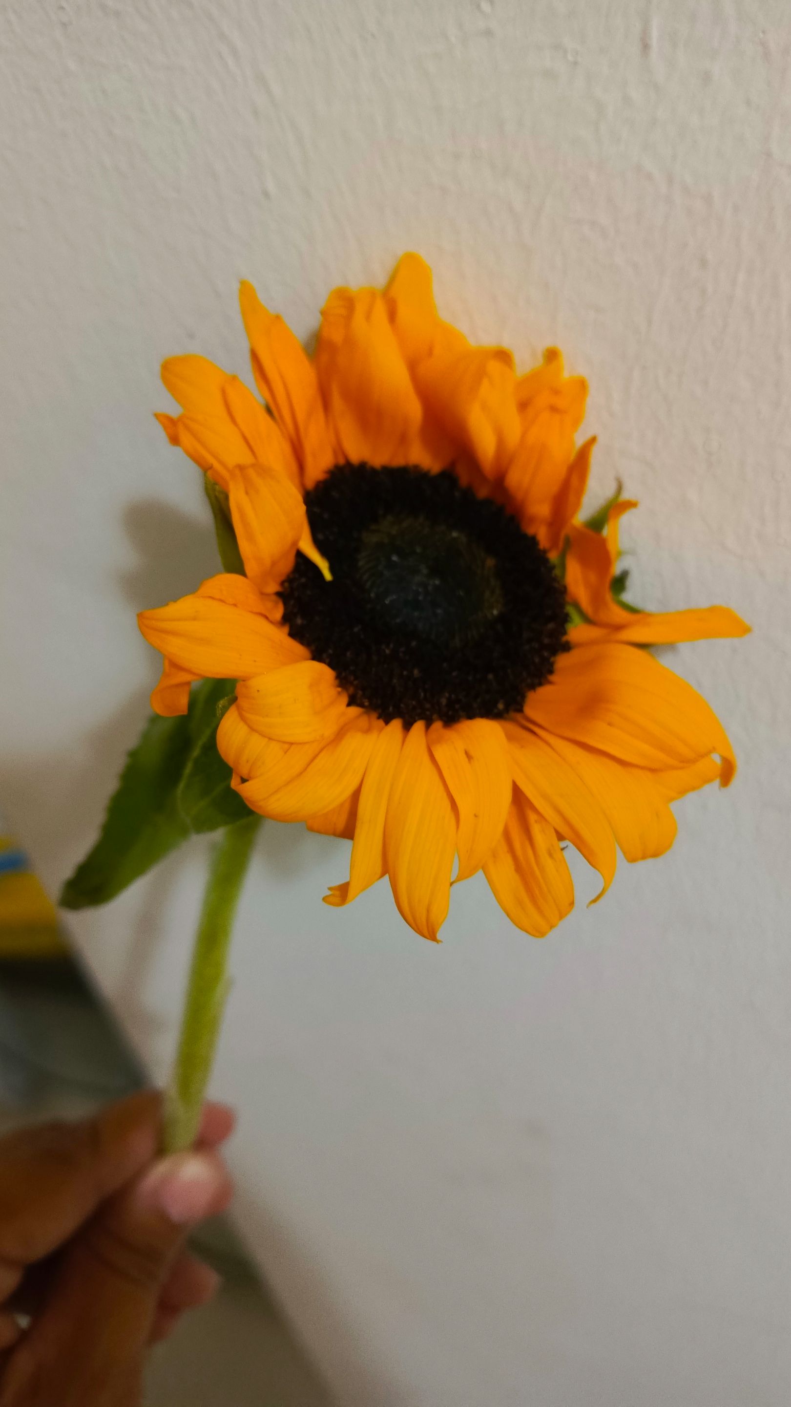 1001560432.jpg