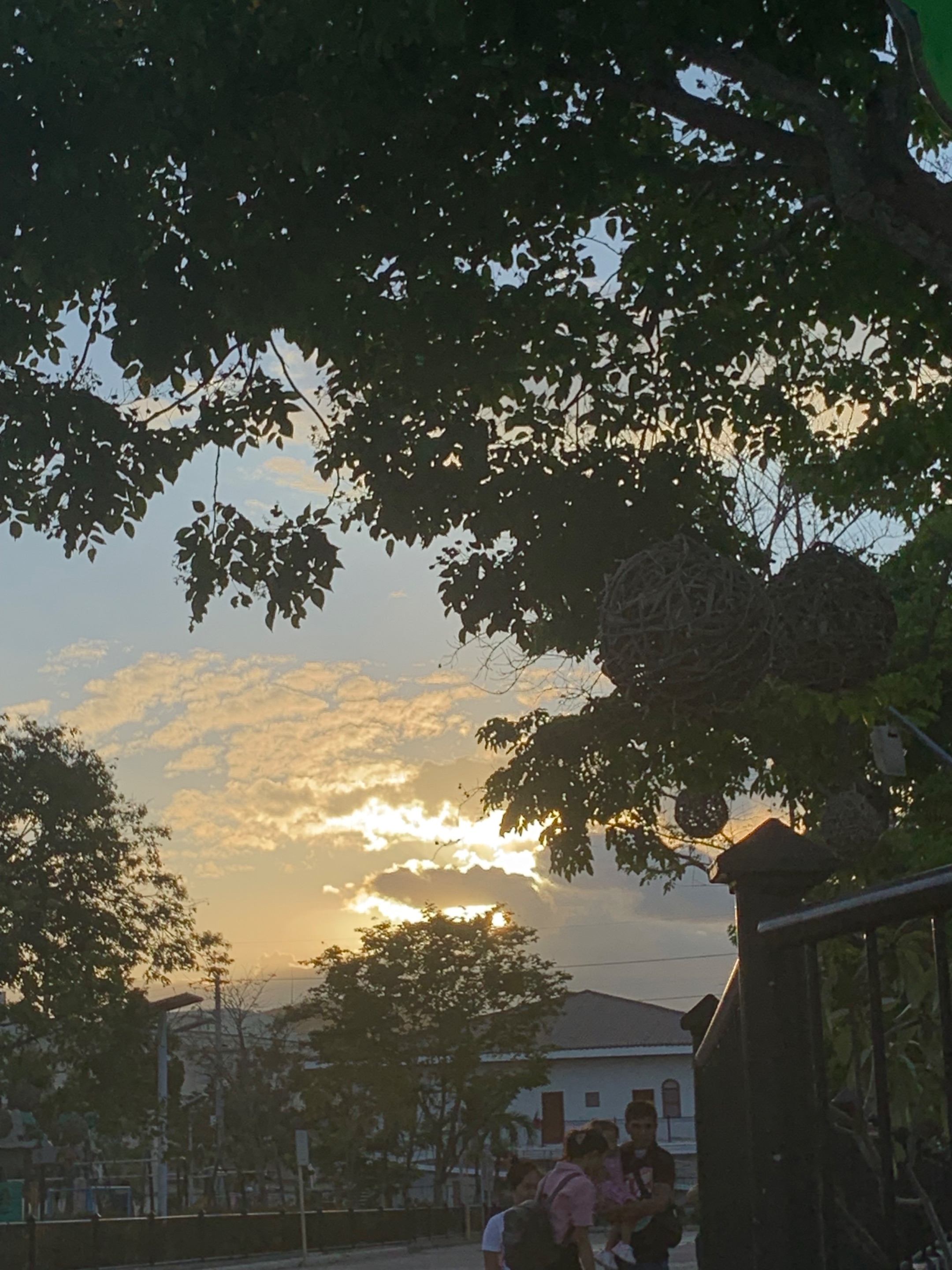 IMG_6600.jpeg