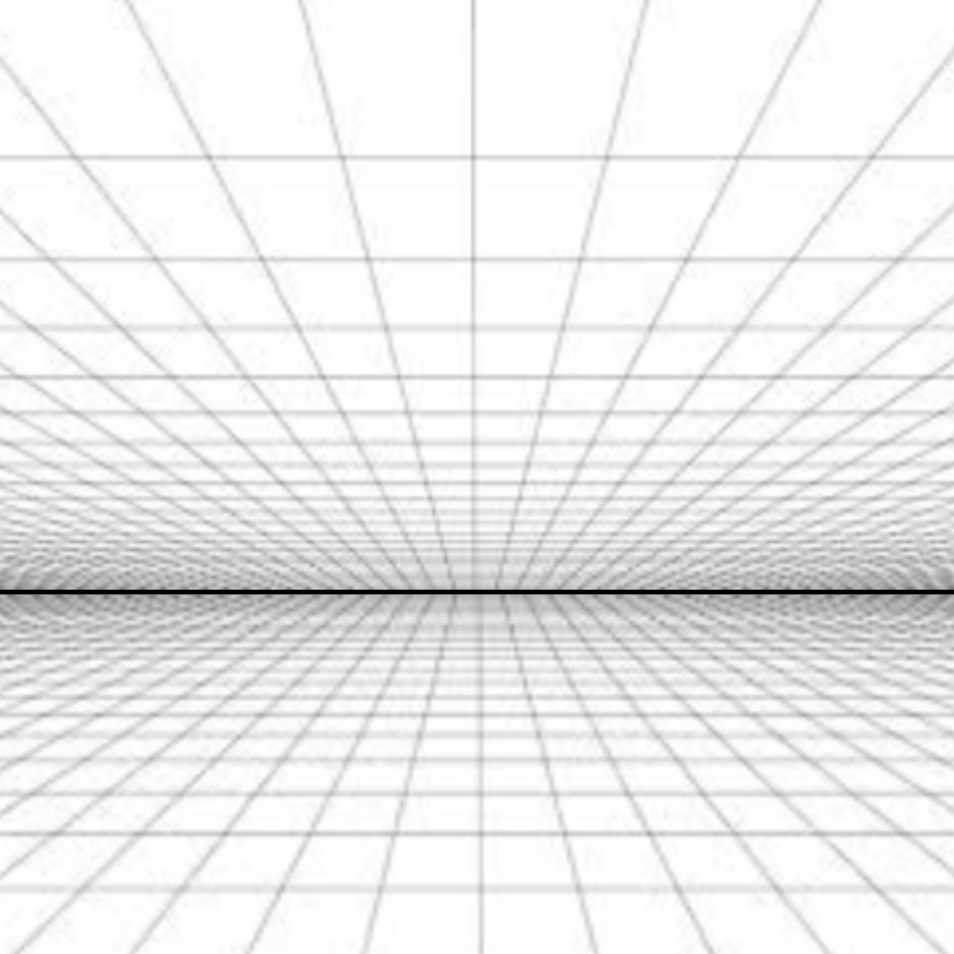 InShot_20250215_092028430.jpg