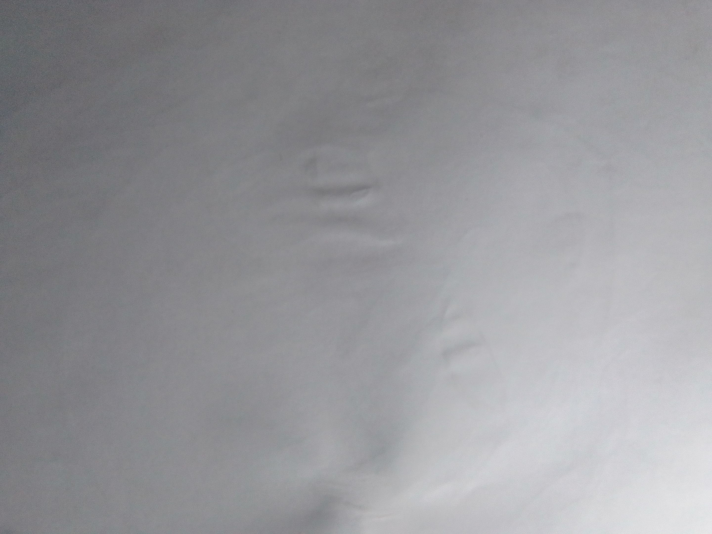 IMG_20250212_102809.jpg