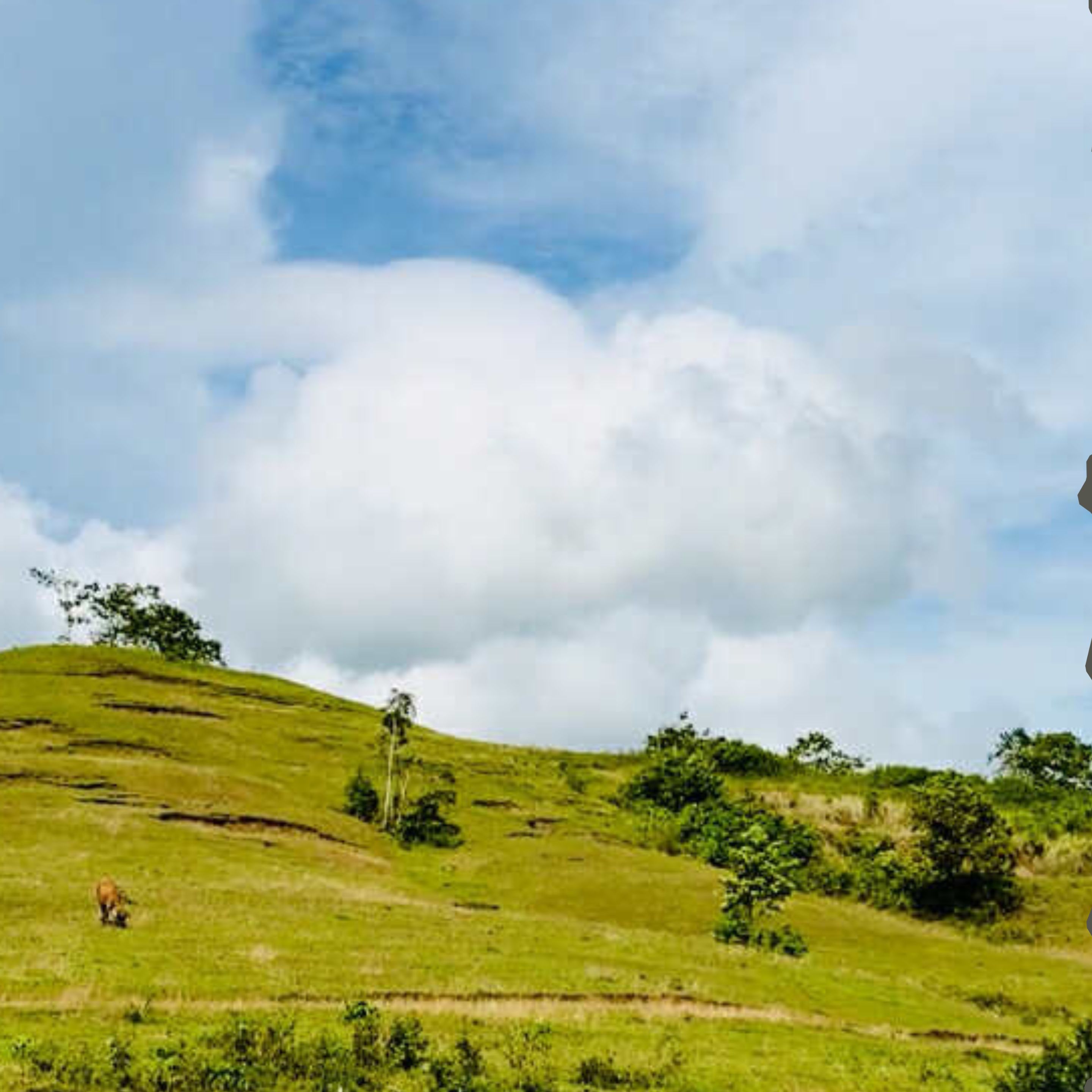 Beige Modern Photo Collage Instagram Post (5).jpg