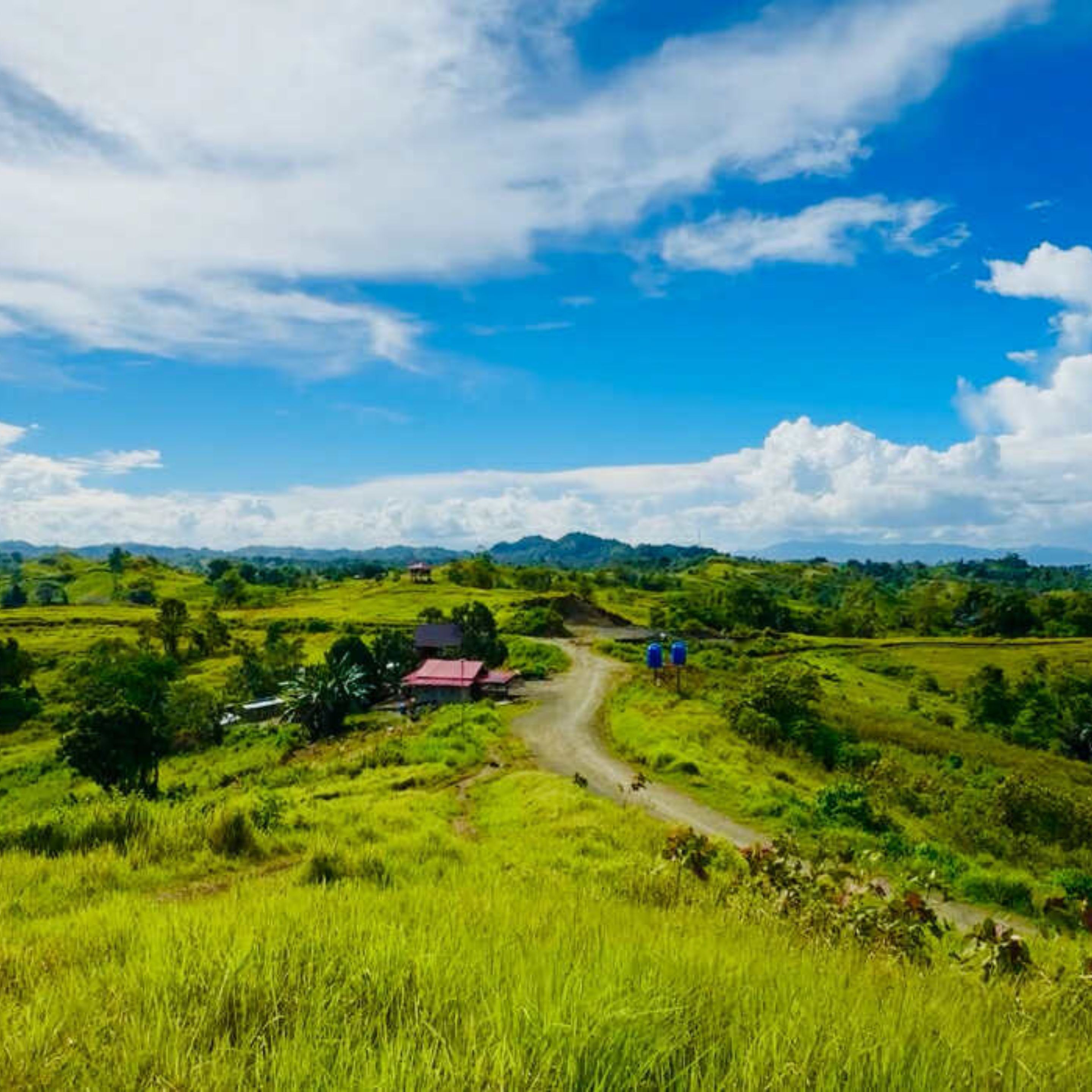 Beige Modern Photo Collage Instagram Post (3).jpg