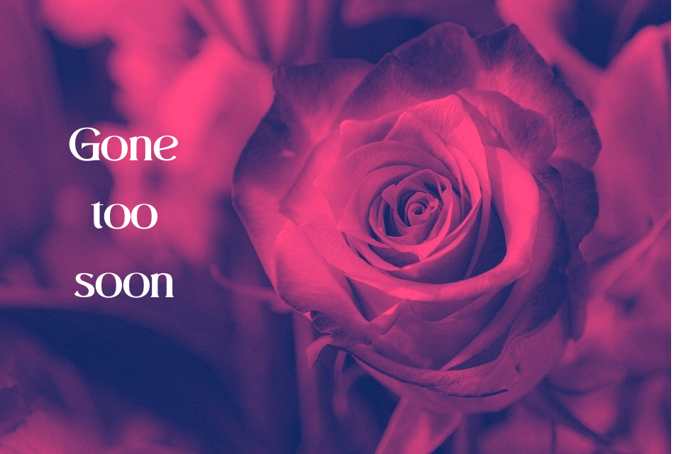 E229F063-B51D-40E9-A78F-632BEF2589BC.png