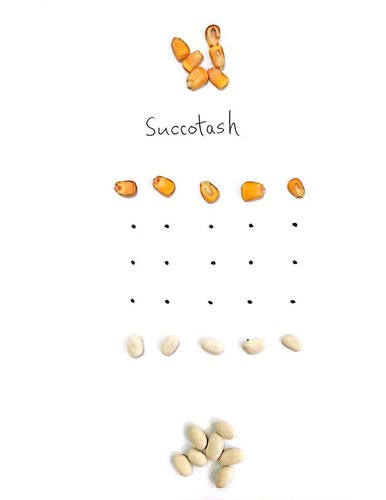 corn-and-beans.jpg