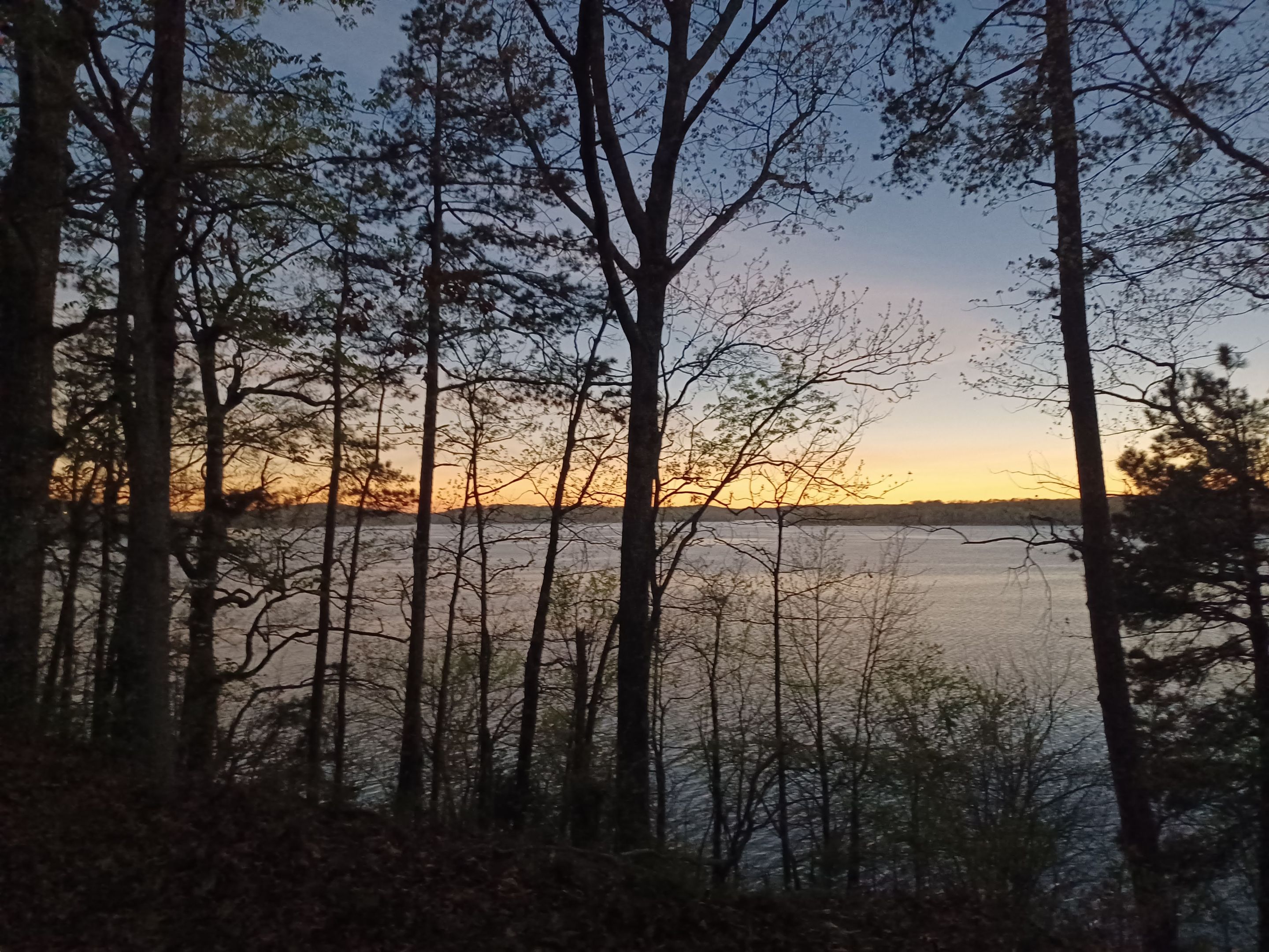 20240408_135729.jpg