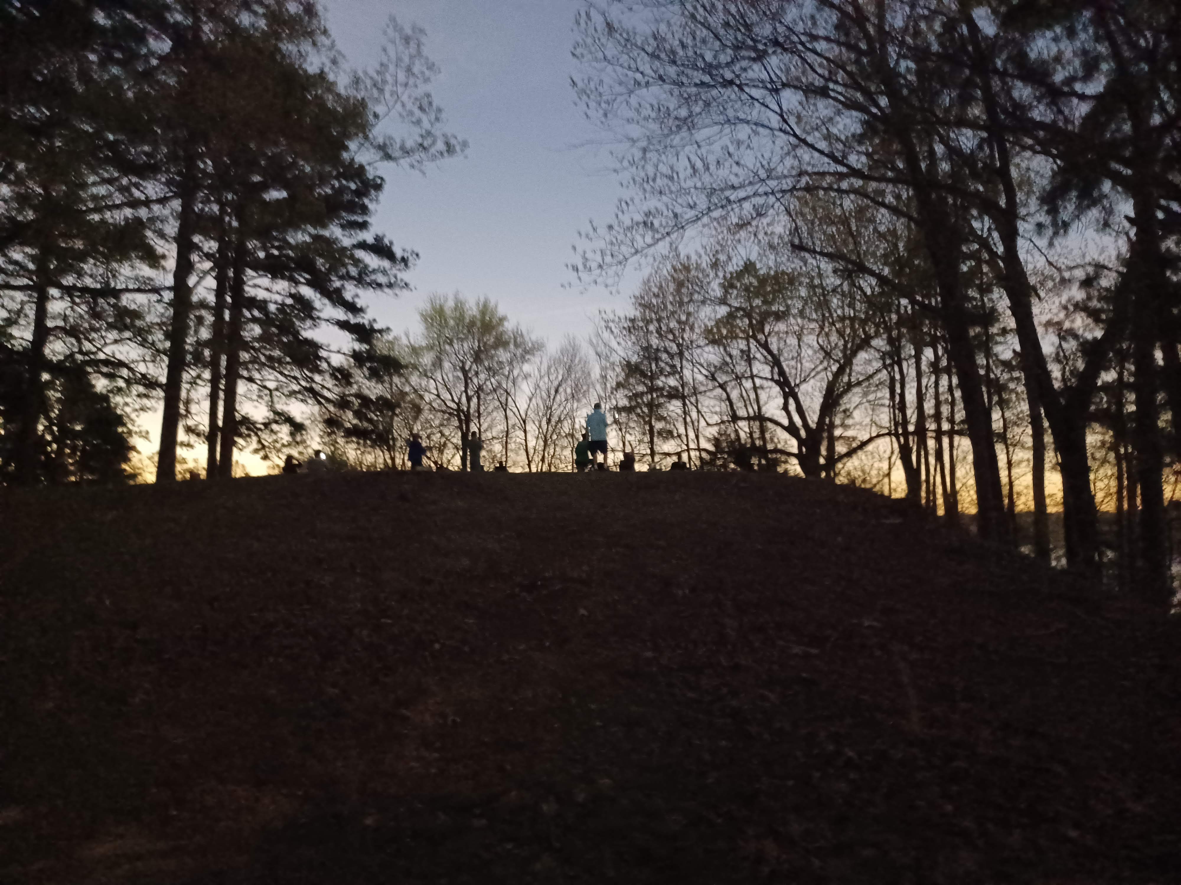 20240408_135804.jpg