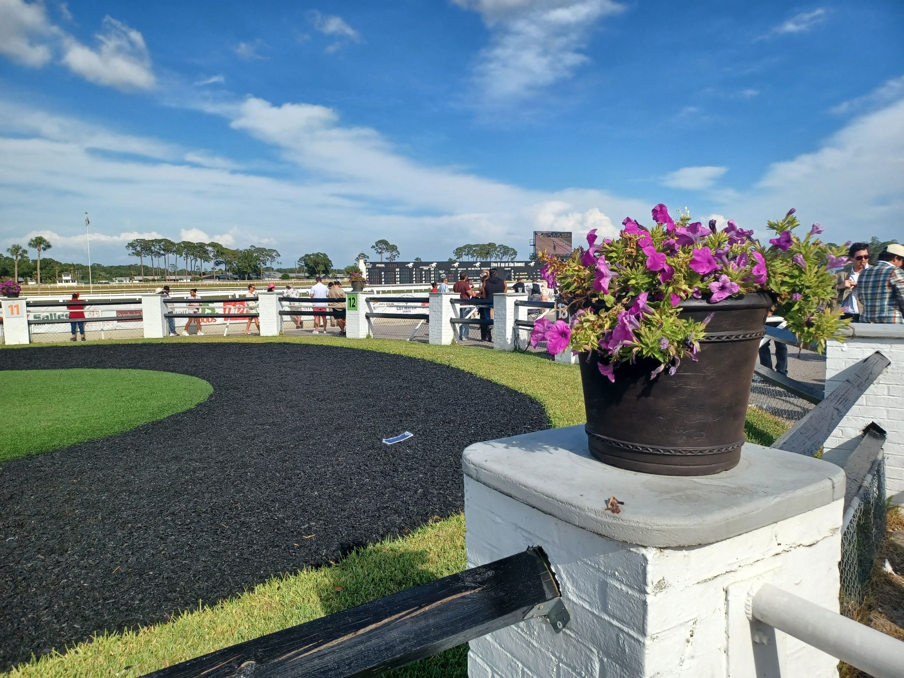 paddocktrack.jpg