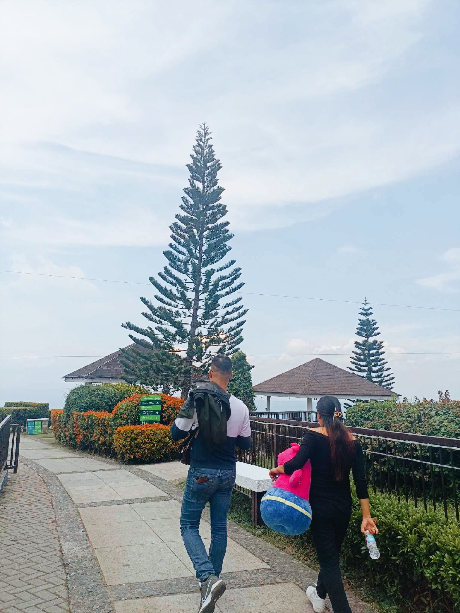 Thanks to my cousin, to Capture this.