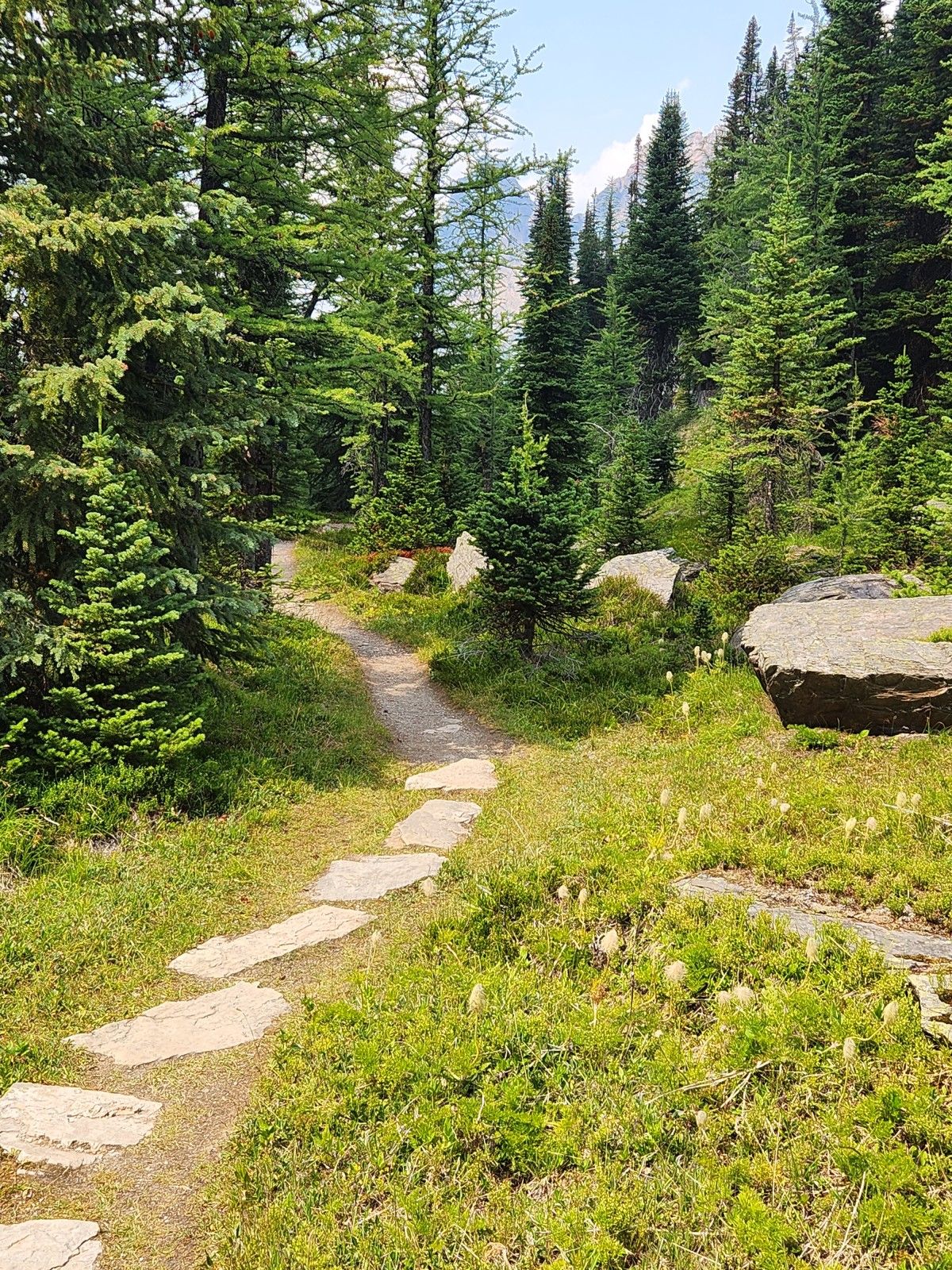 20230805_151532.jpg