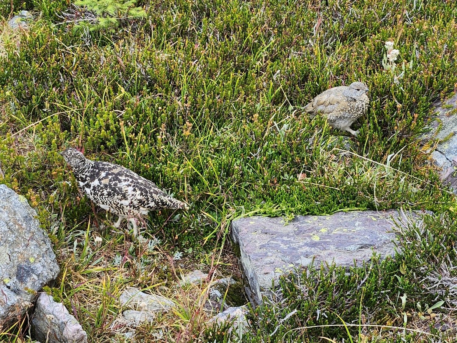 20230805_145244.jpg