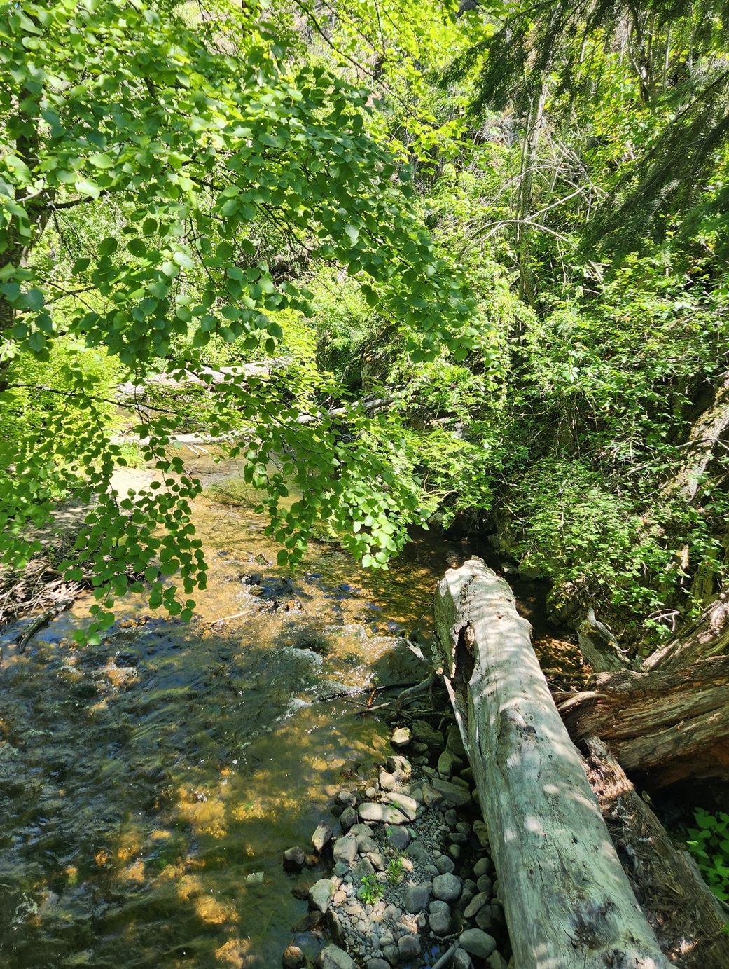 20240608_112623.jpg