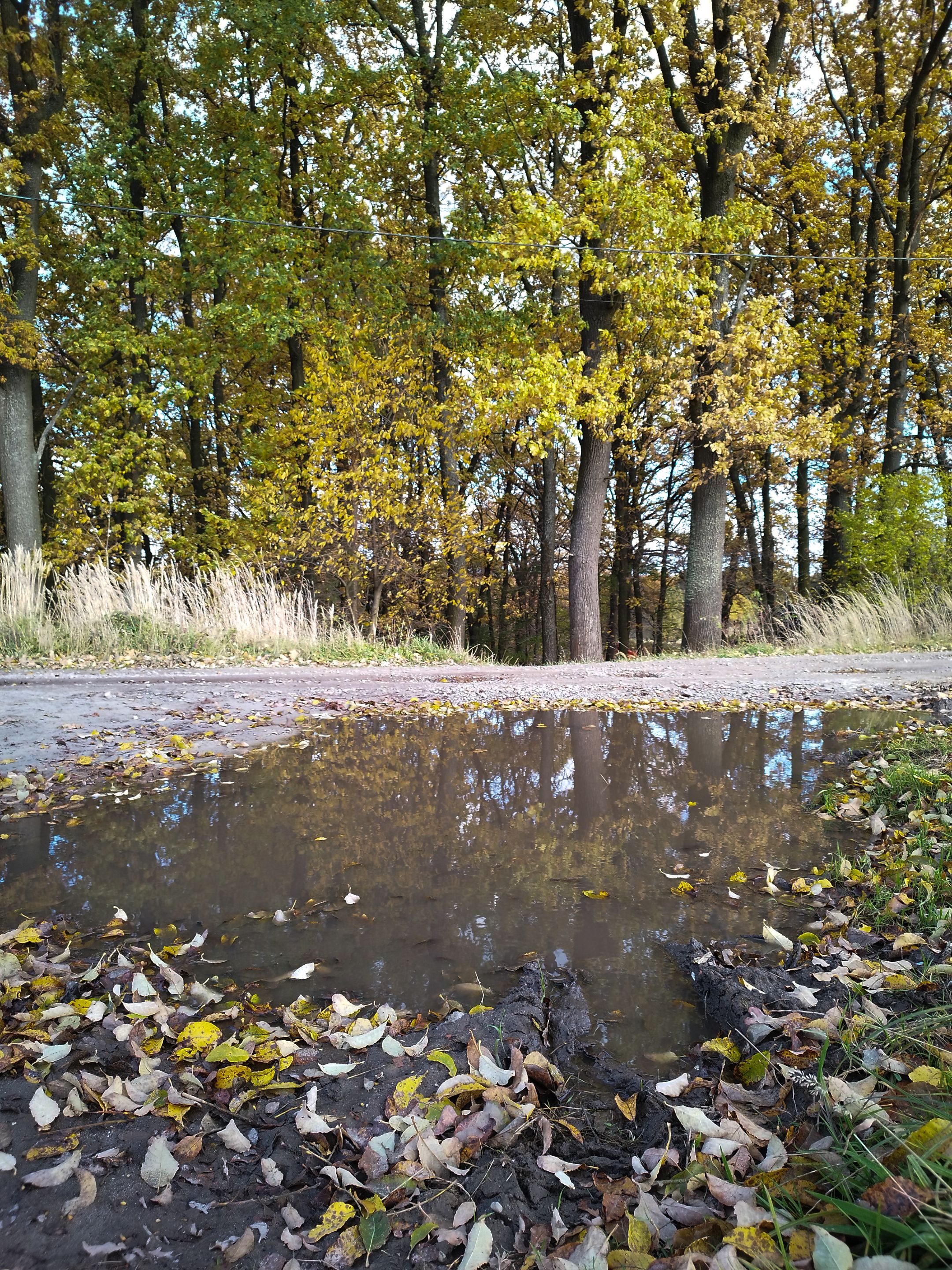 фотопрогулянка 4.jpg