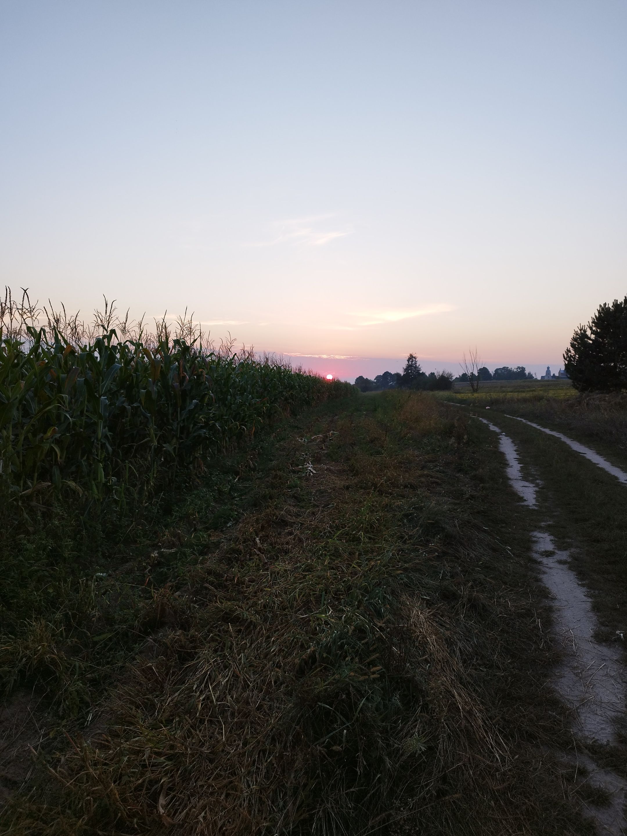 IMG_20250907_194254.jpg