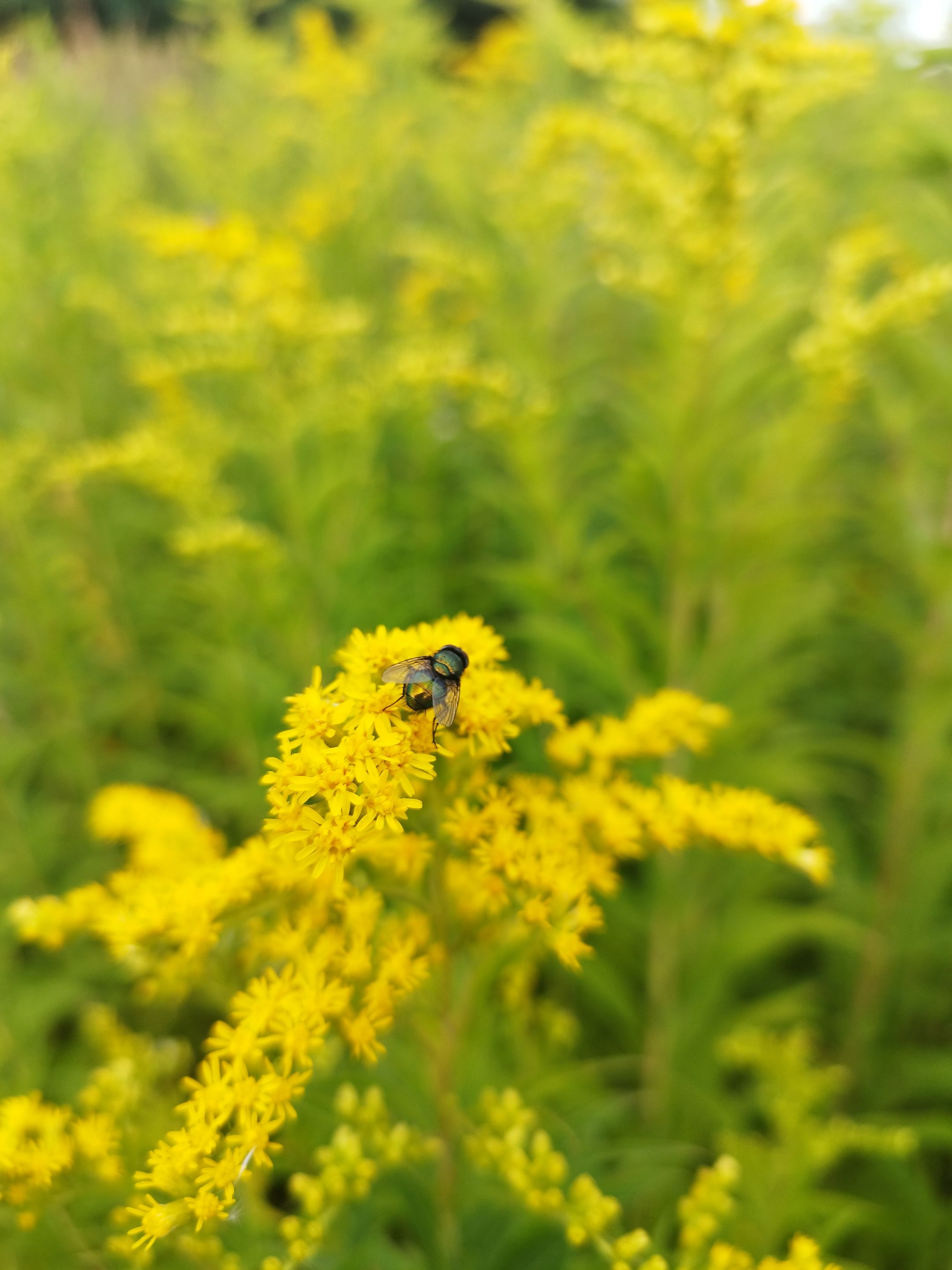 IMG_20250806_175907.jpg