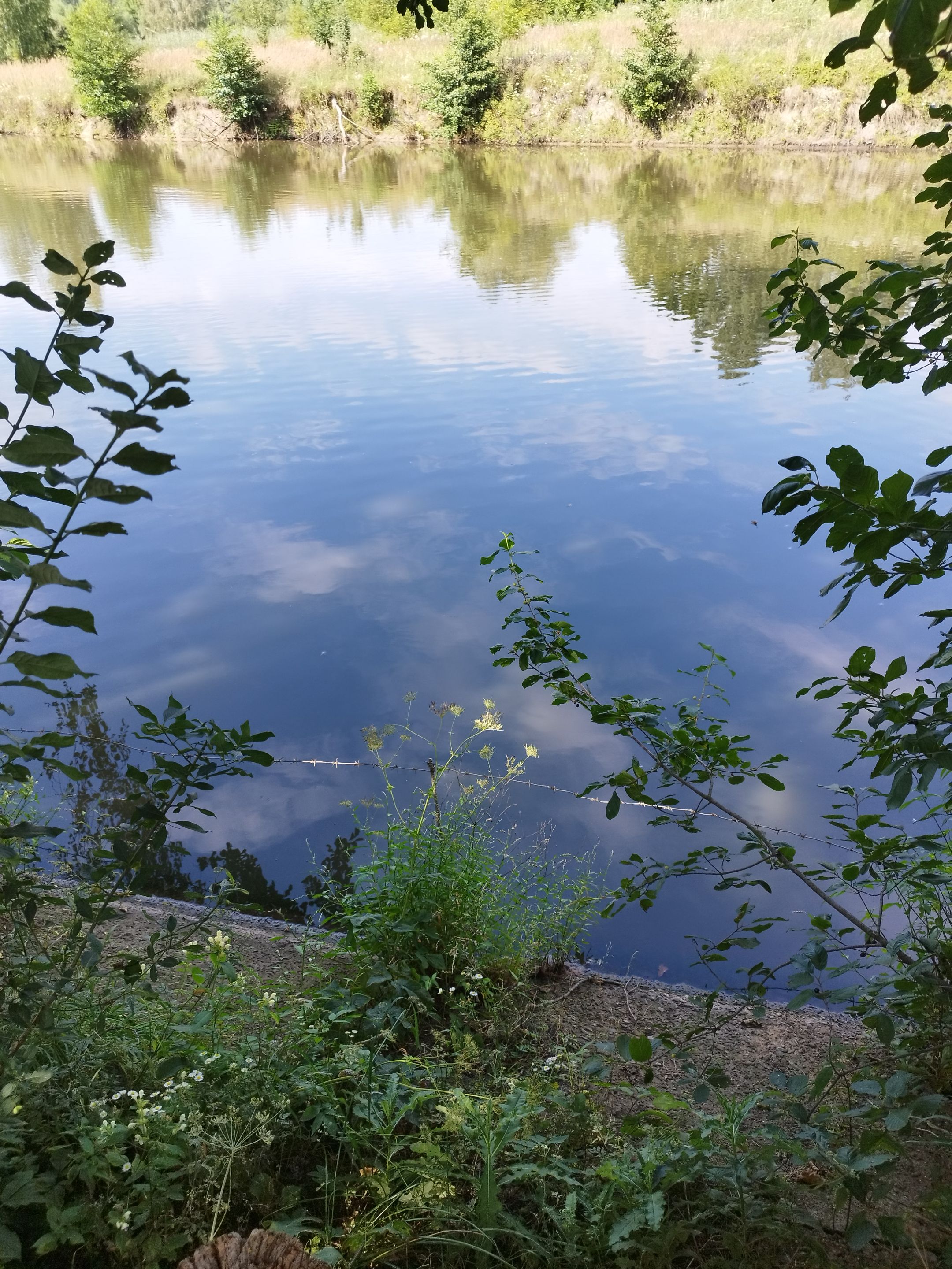 IMG_20250810_164434.jpg
