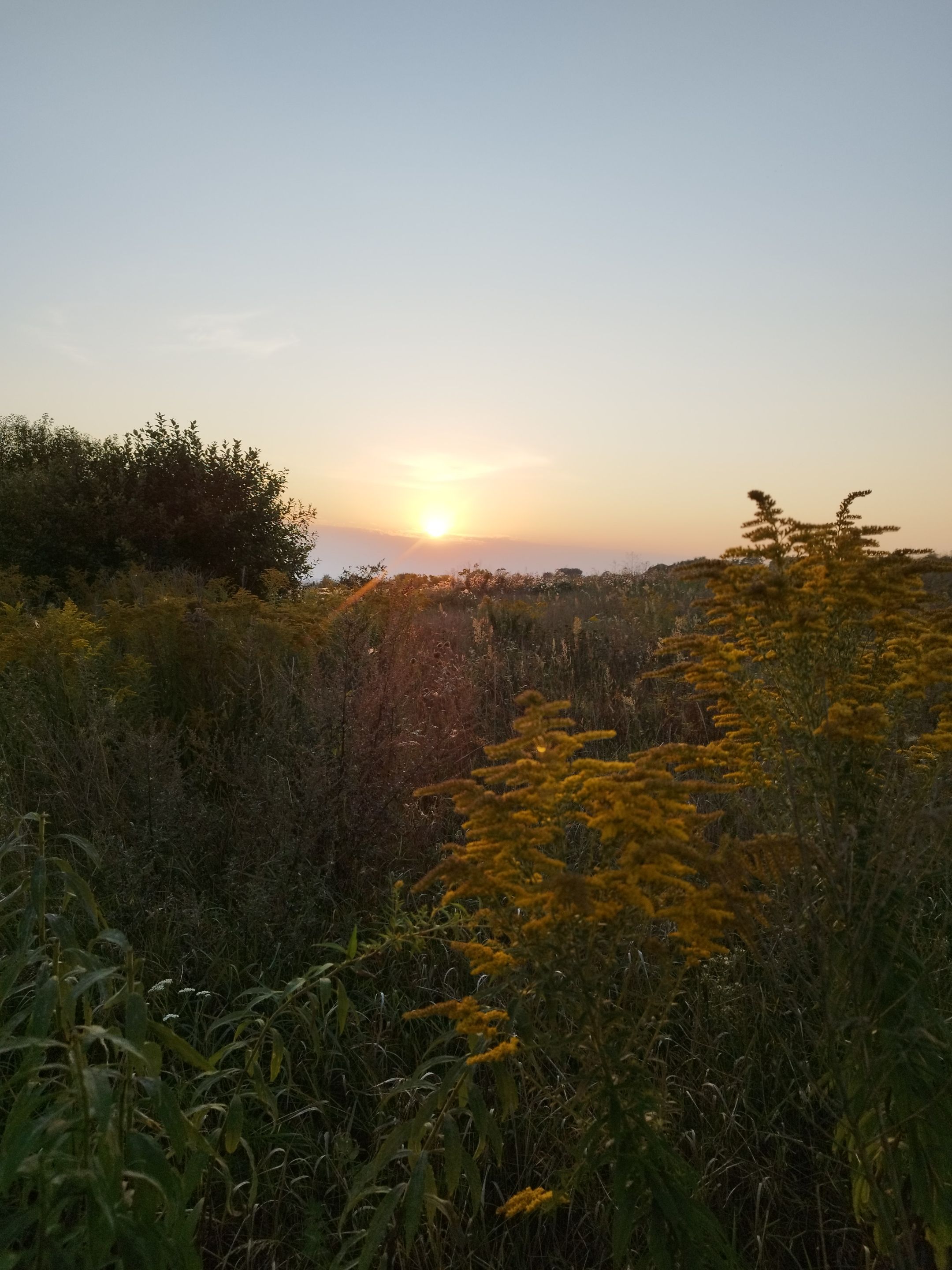 IMG_20250907_192856.jpg
