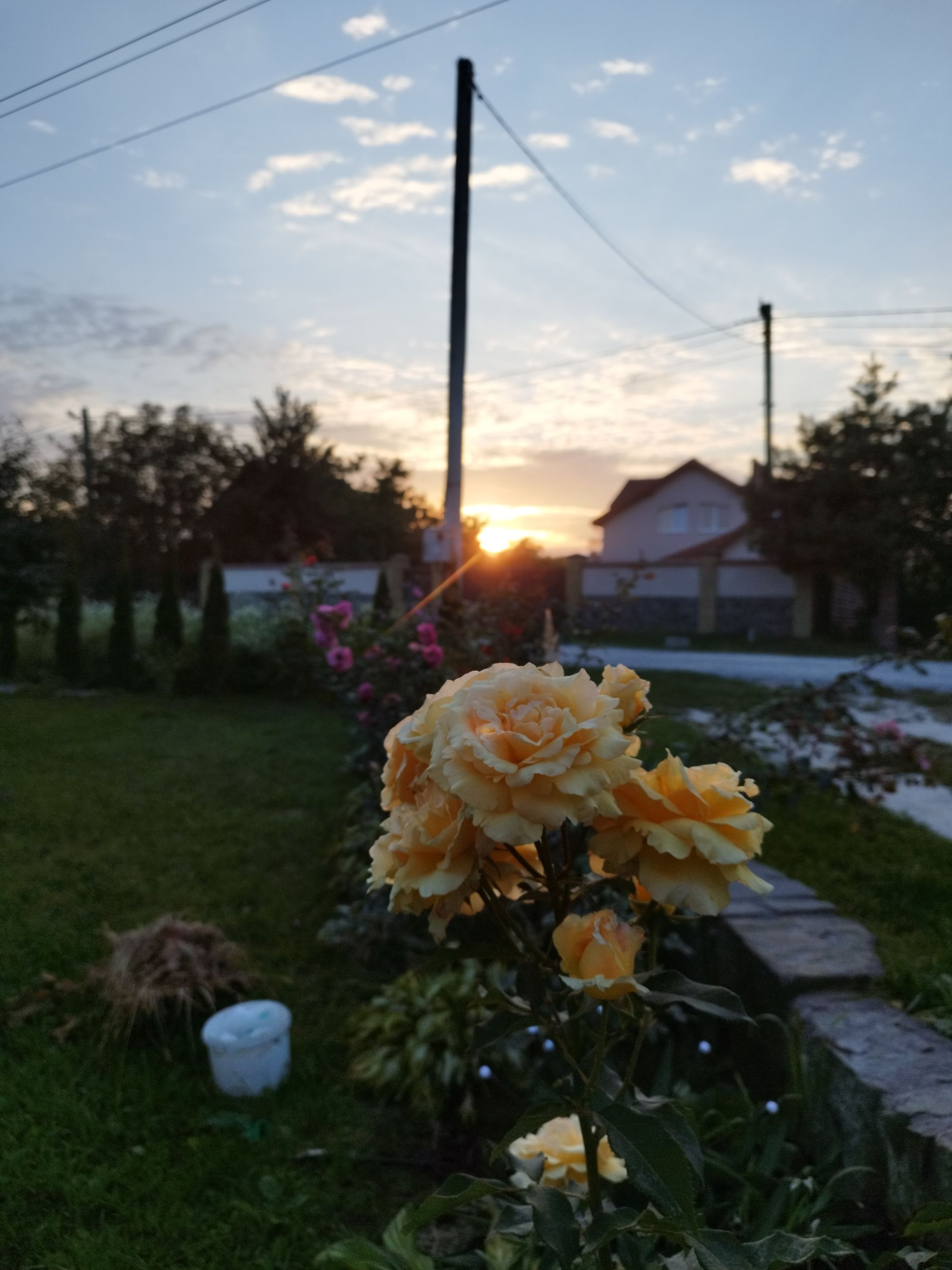 IMG_20250904_193130.jpg