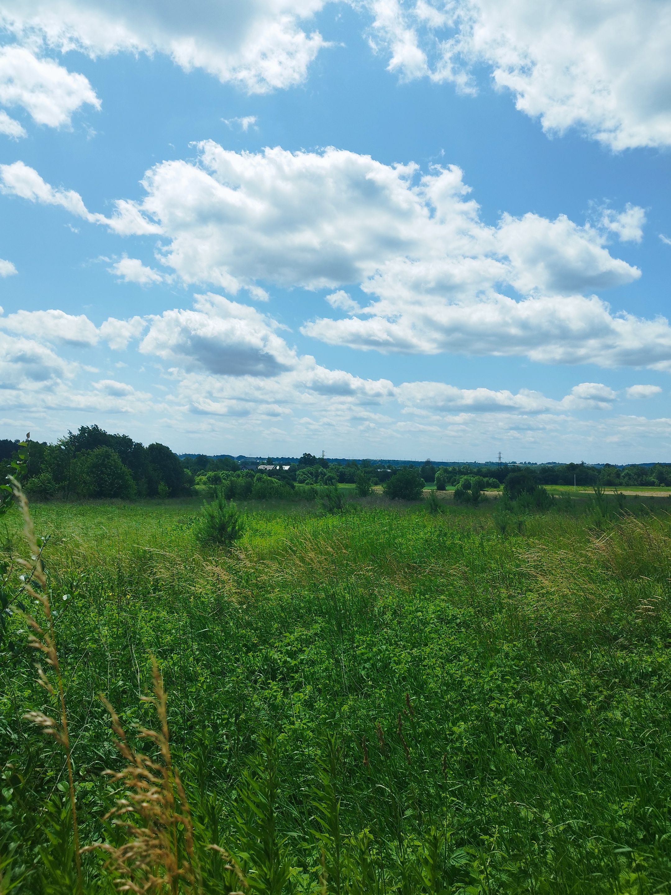 IMG_20250624_131734.jpg