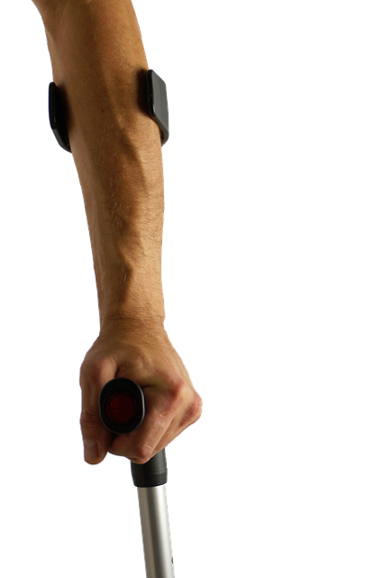 walker1006039_640.png