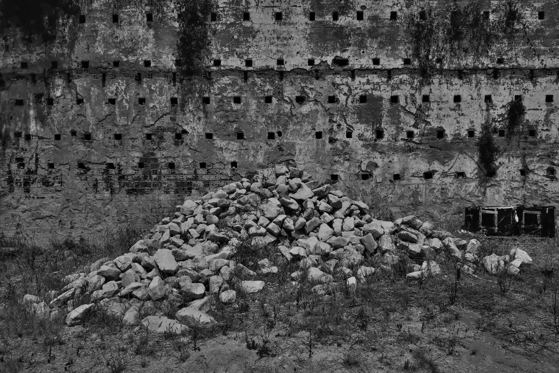 2-Focus on imperfection©Paulo Abrantes.jpg