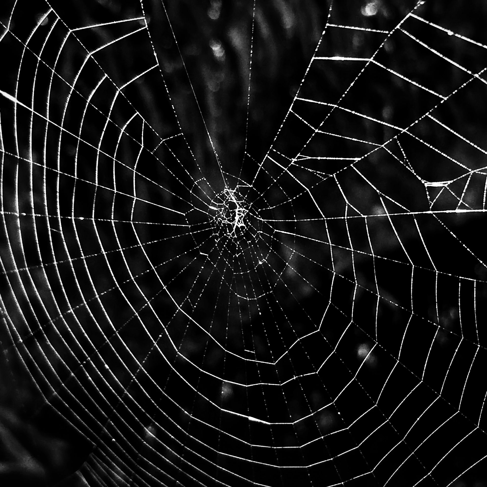 5-Focus on imperfection©Paulo Abrantes.jpg