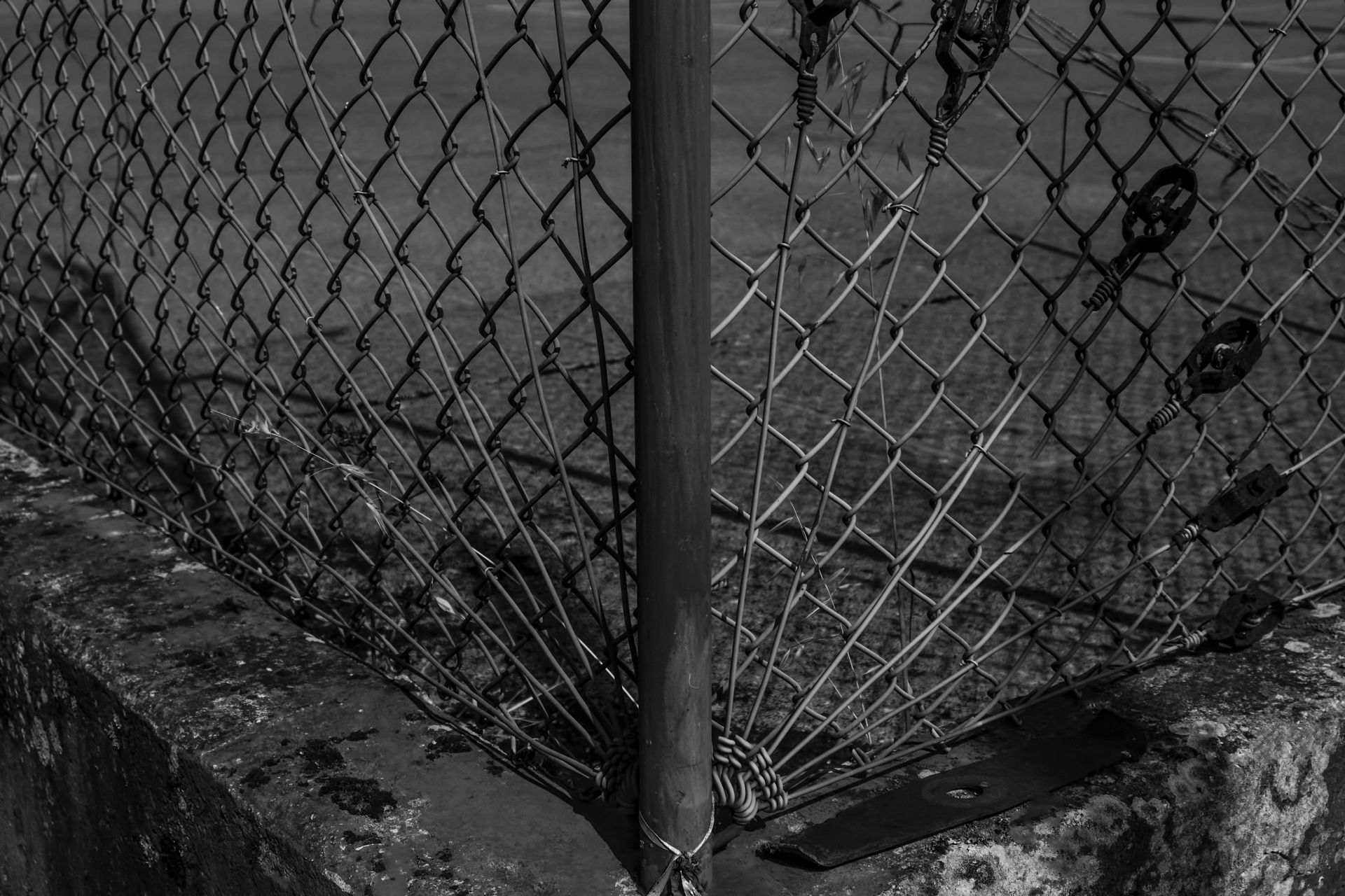 6-Focus on imperfection©Paulo Abrantes.jpg