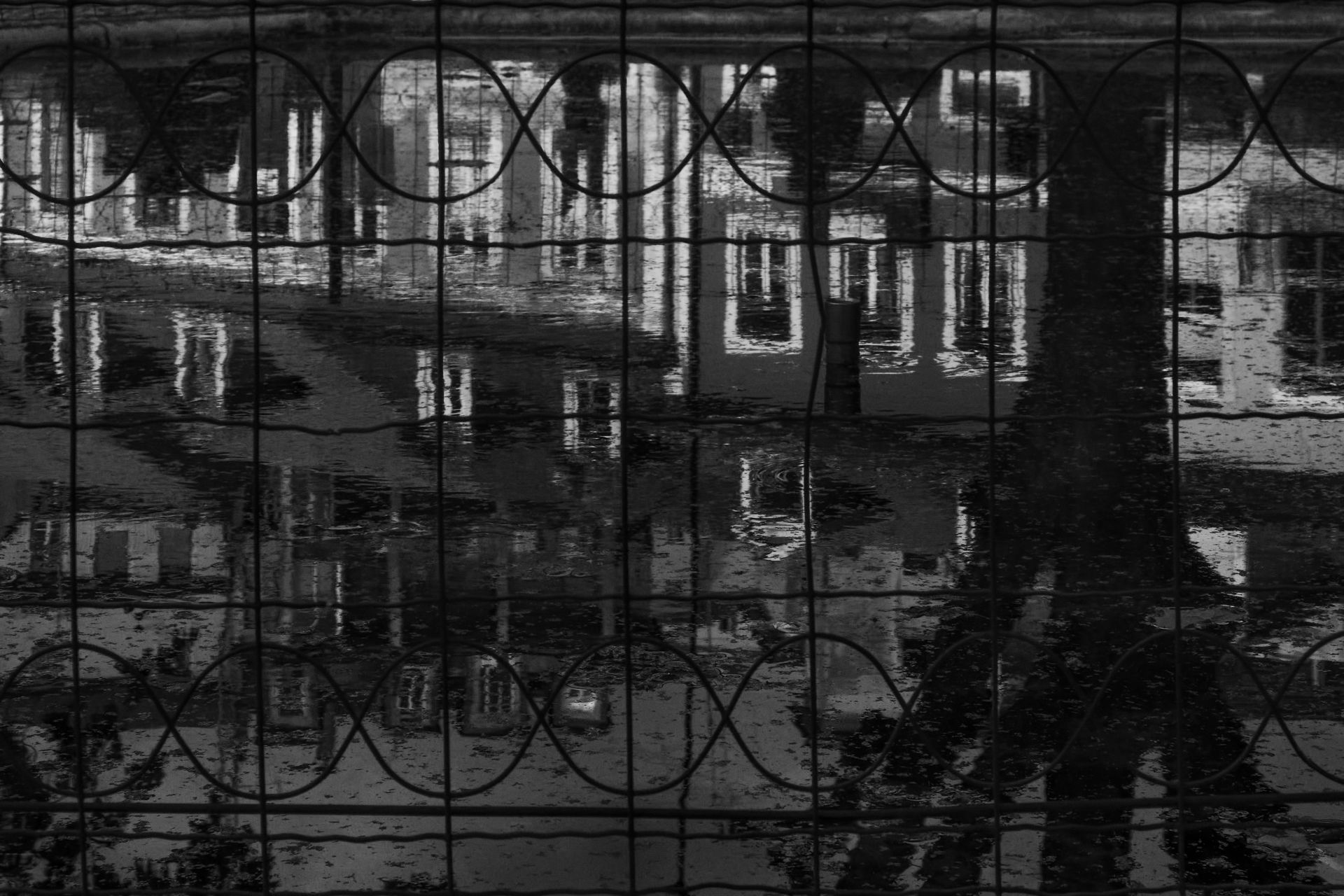 8-Focus on imperfection©Paulo Abrantes.jpg