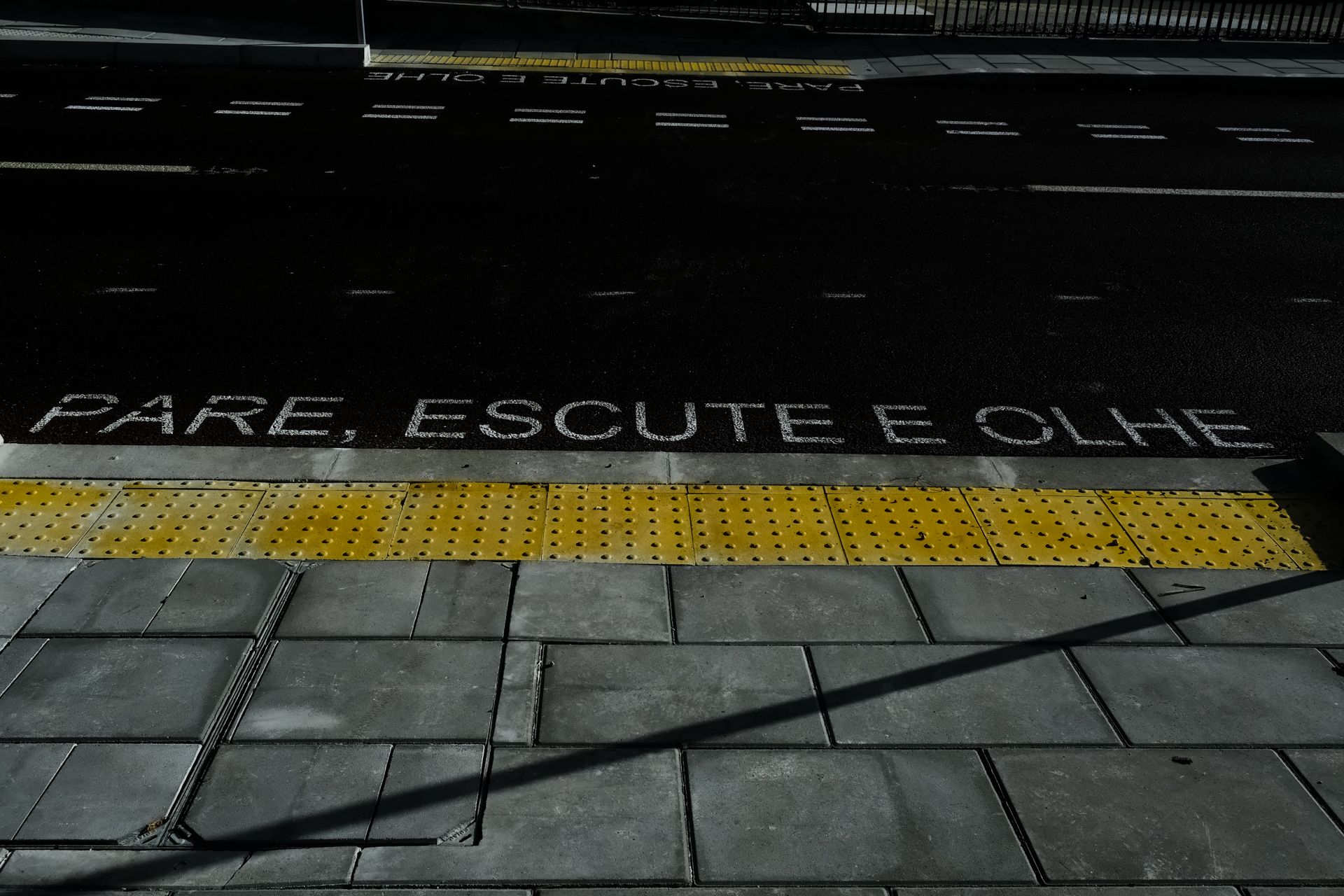 25-Metro Mondego©Paulo Abrantes-32.jpg