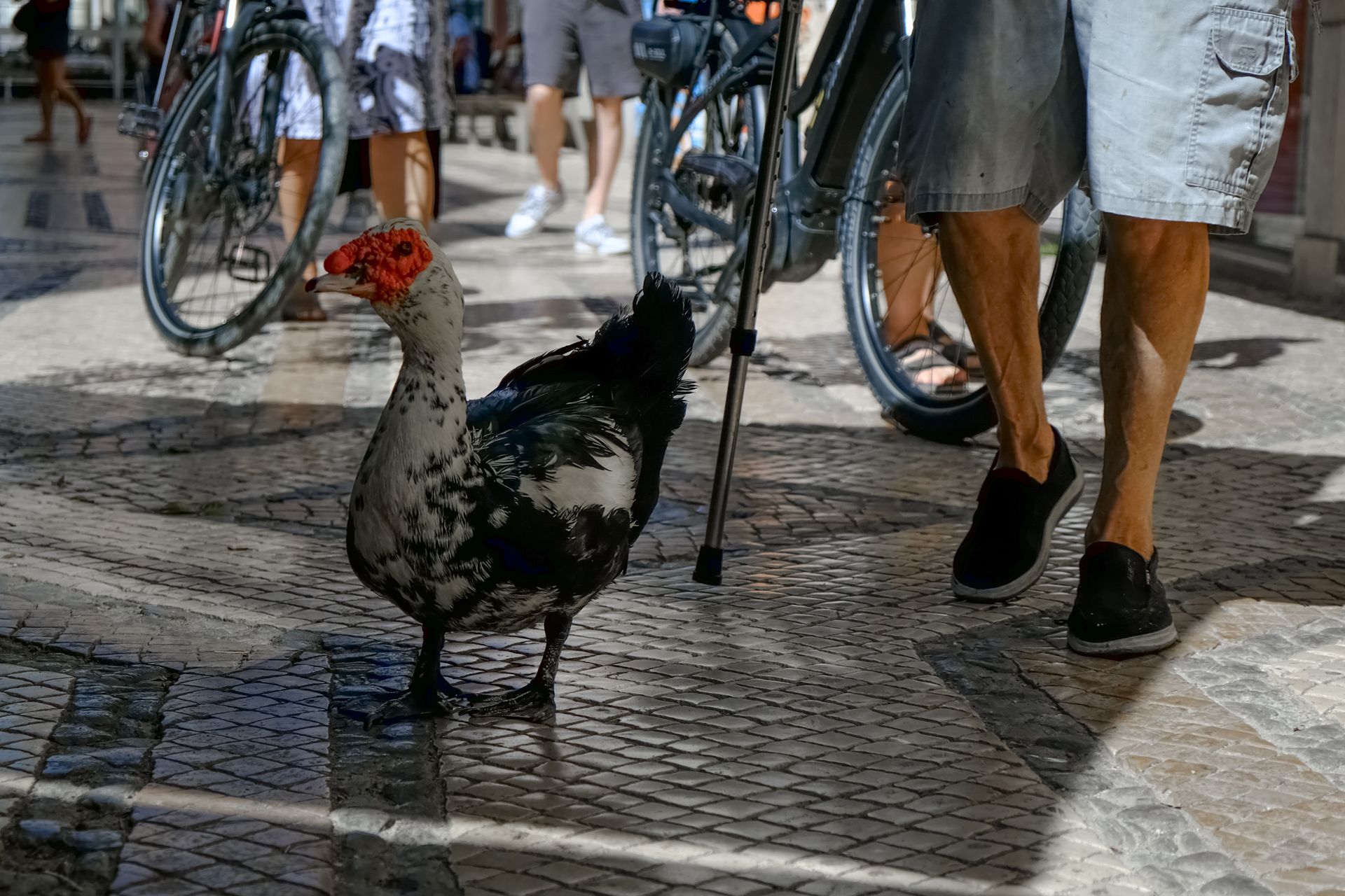 4-Street photography in Faro©Paulo Abrantes.jpg