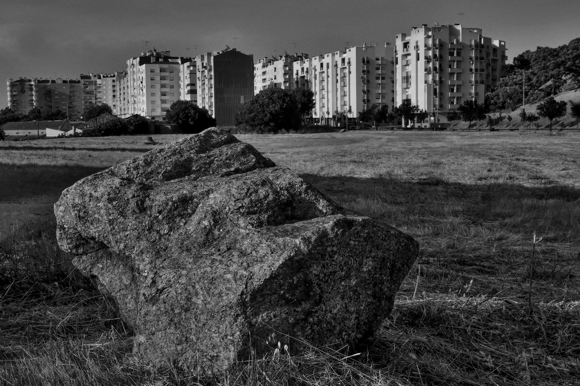 9-Focus on imperfection©Paulo Abrantes.jpg