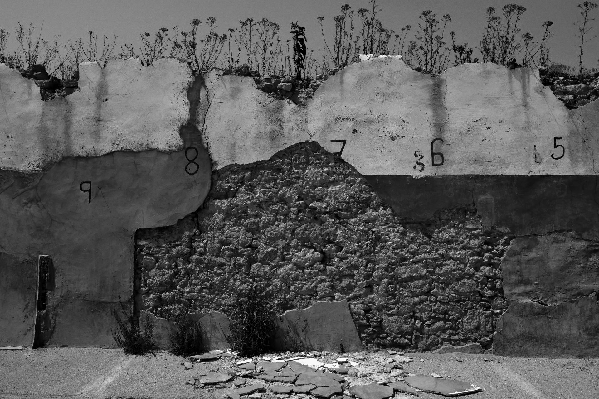 1-Focus on imperfection©Paulo Abrantes.jpg