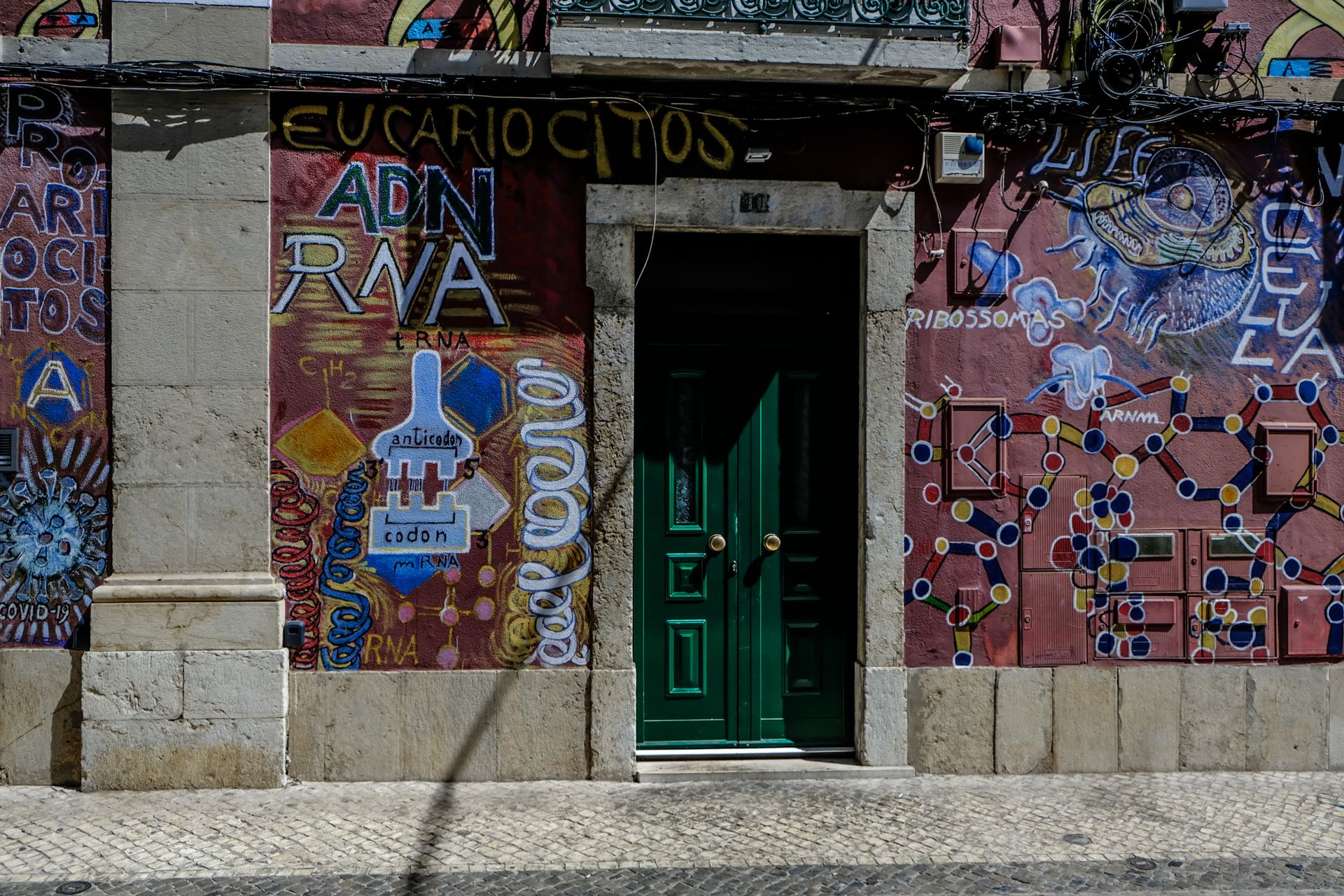 6-Street Art - Faro -1©Paulo Abrantes.jpg