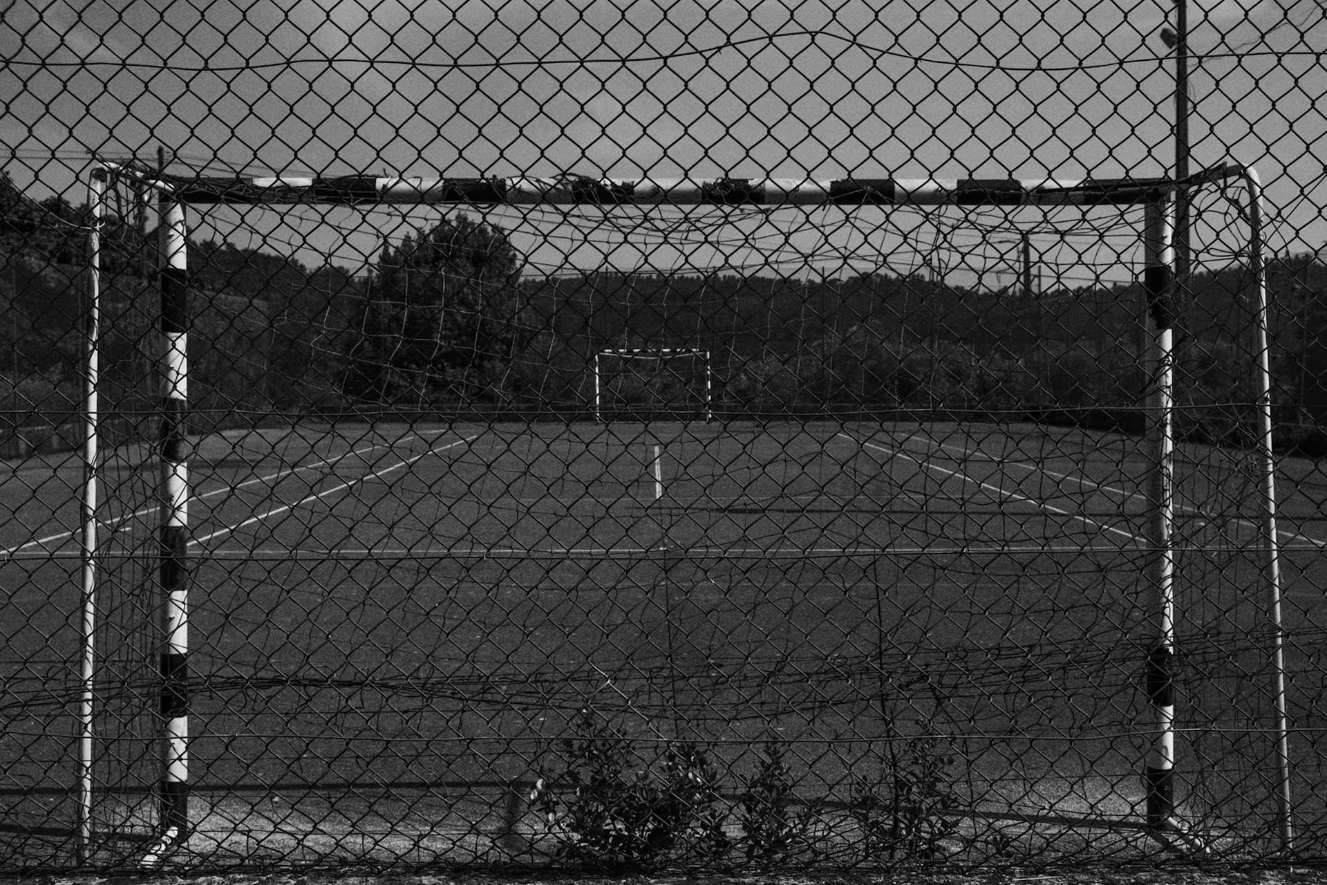 7-Focus on imperfection©Paulo Abrantes.jpg